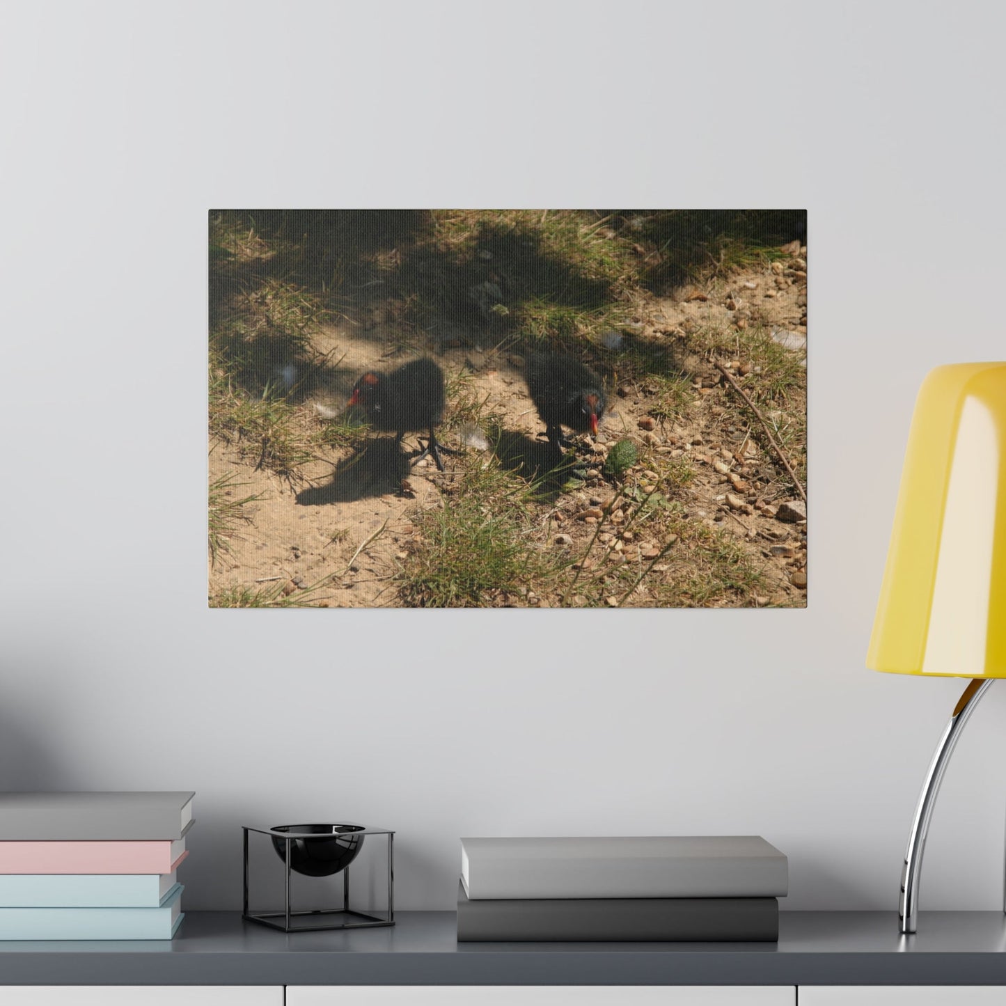 Two Moorhen Chicks Up Close Canvas - The Trio Synergize Group