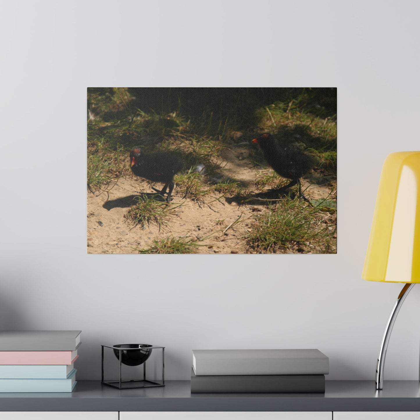 Two Moorhen Chicks Canvas Print - The Trio Synergize Group
