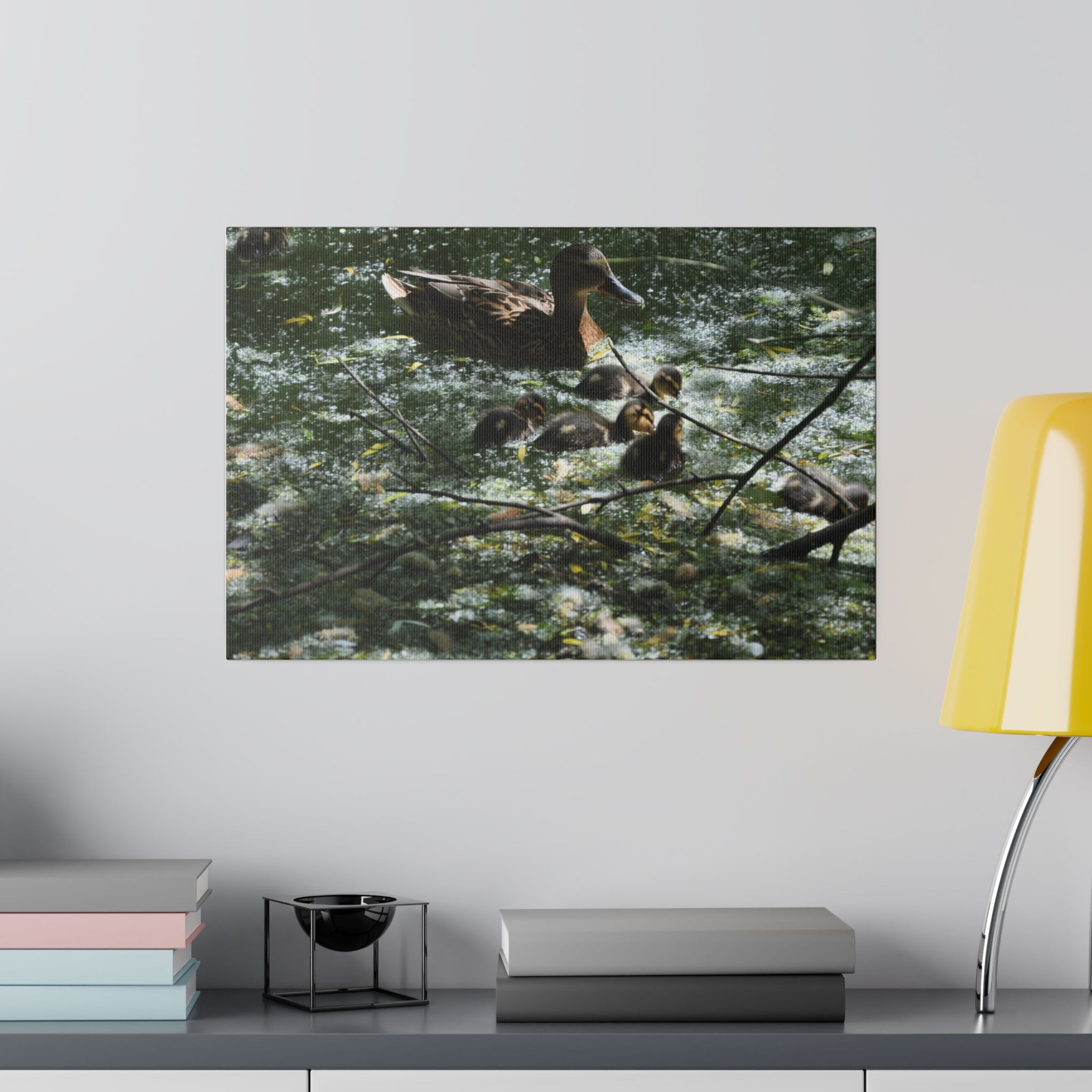 Mother And Baby Ducklings Swimming Canvas - The Trio Synergize Group