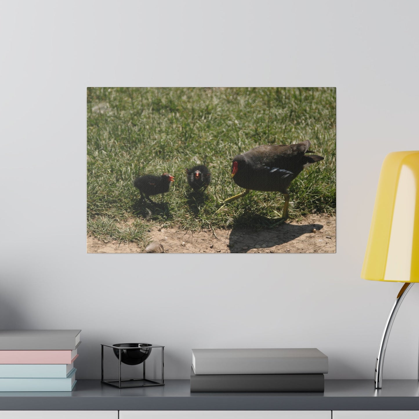 Mother Moorhen And Two Of Her Chicks Canvas - The Trio Synergize Group