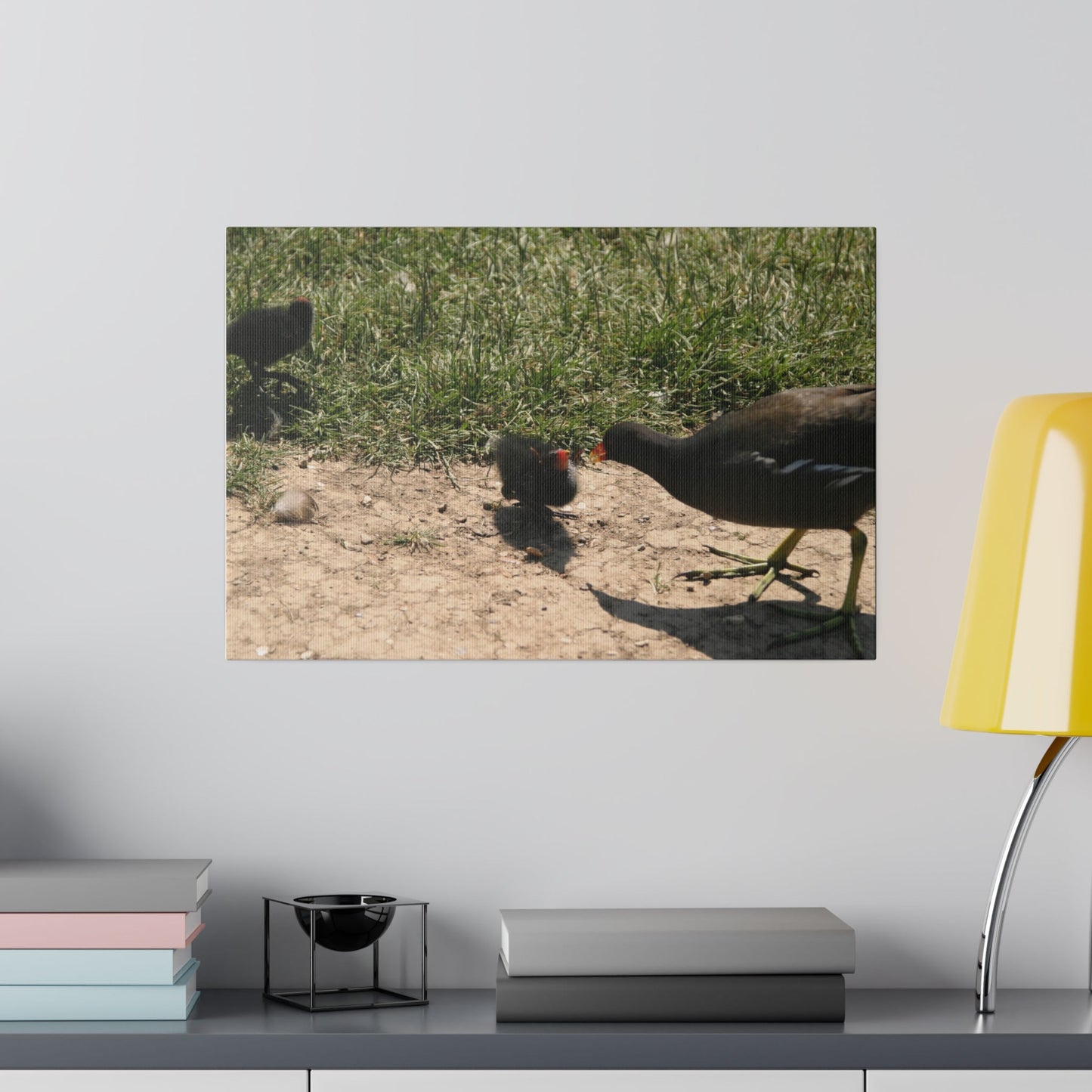 Mother Moorhen And Her Chicks Canvas - The Trio Synergize Group