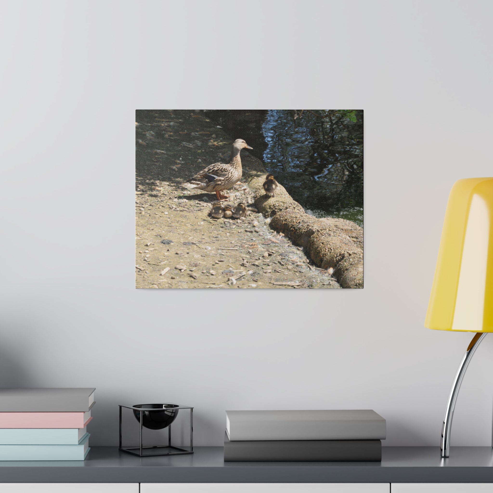 Mother With Four Baby Ducklings Resting Canvas - The Trio Synergize Group