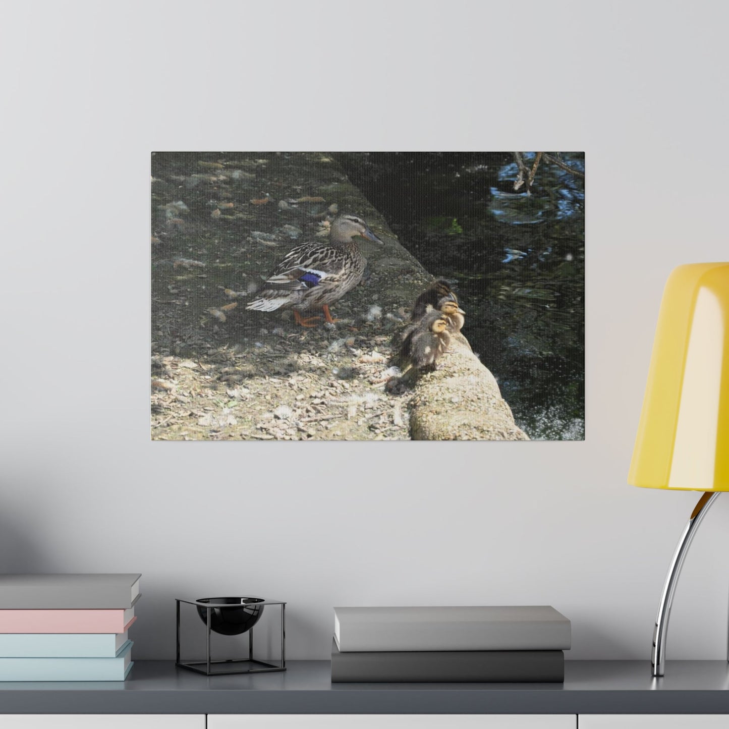 Mother With Baby Ducklings Near The Waters Edge Canvas - The Trio Synergize Group