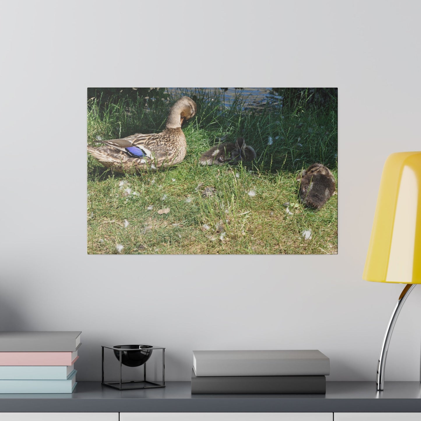 Mother With Baby Ducklings Resting Canvas - The Trio Synergize Group