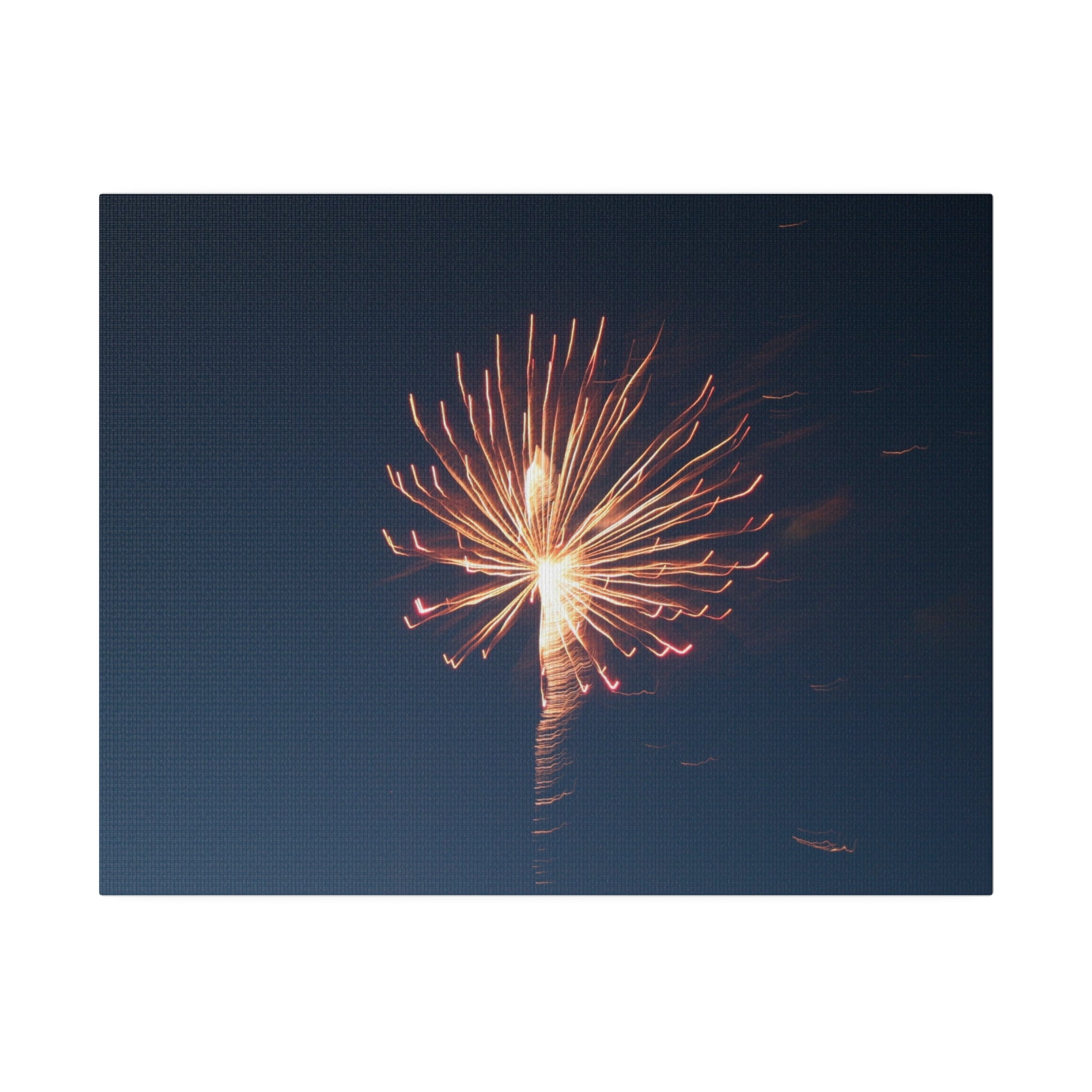 Orange Bursting Firework With Red Sparks Canvas - The Trio Synergize Group