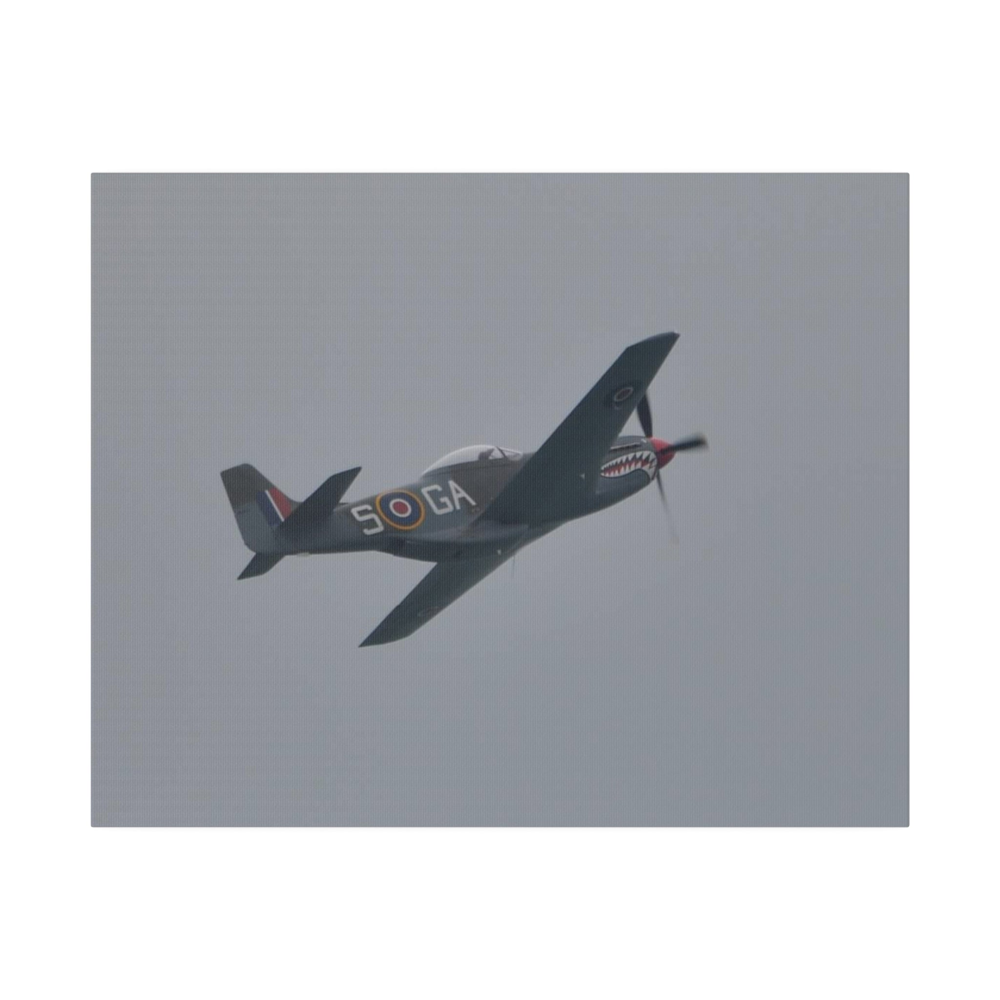 P-51D Mustang Flying & Banking Left Close Up Canvas - The Trio Synergize Group