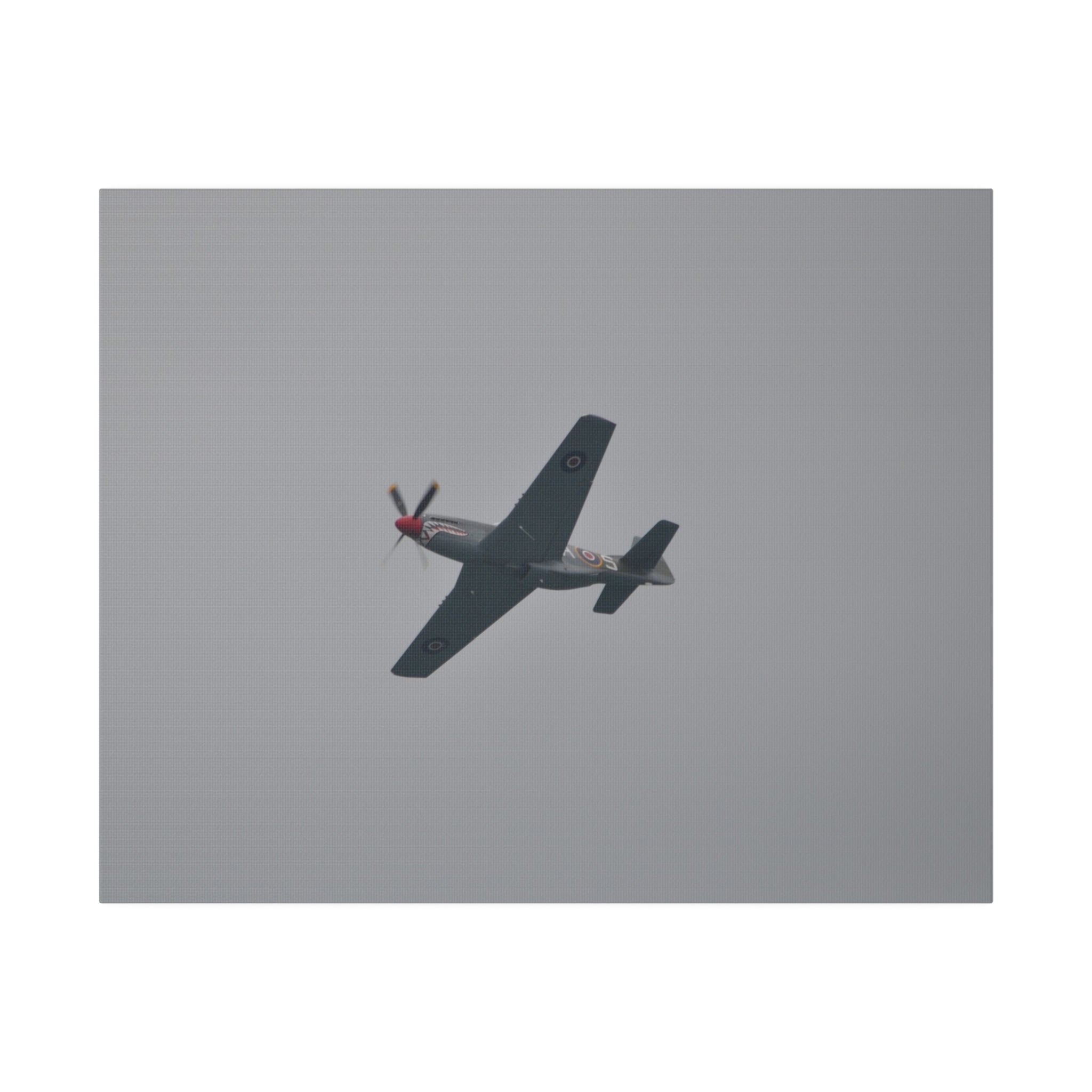 P-51D Mustang Flying From The Right And Banking Right Canvas - The Trio Synergize Group