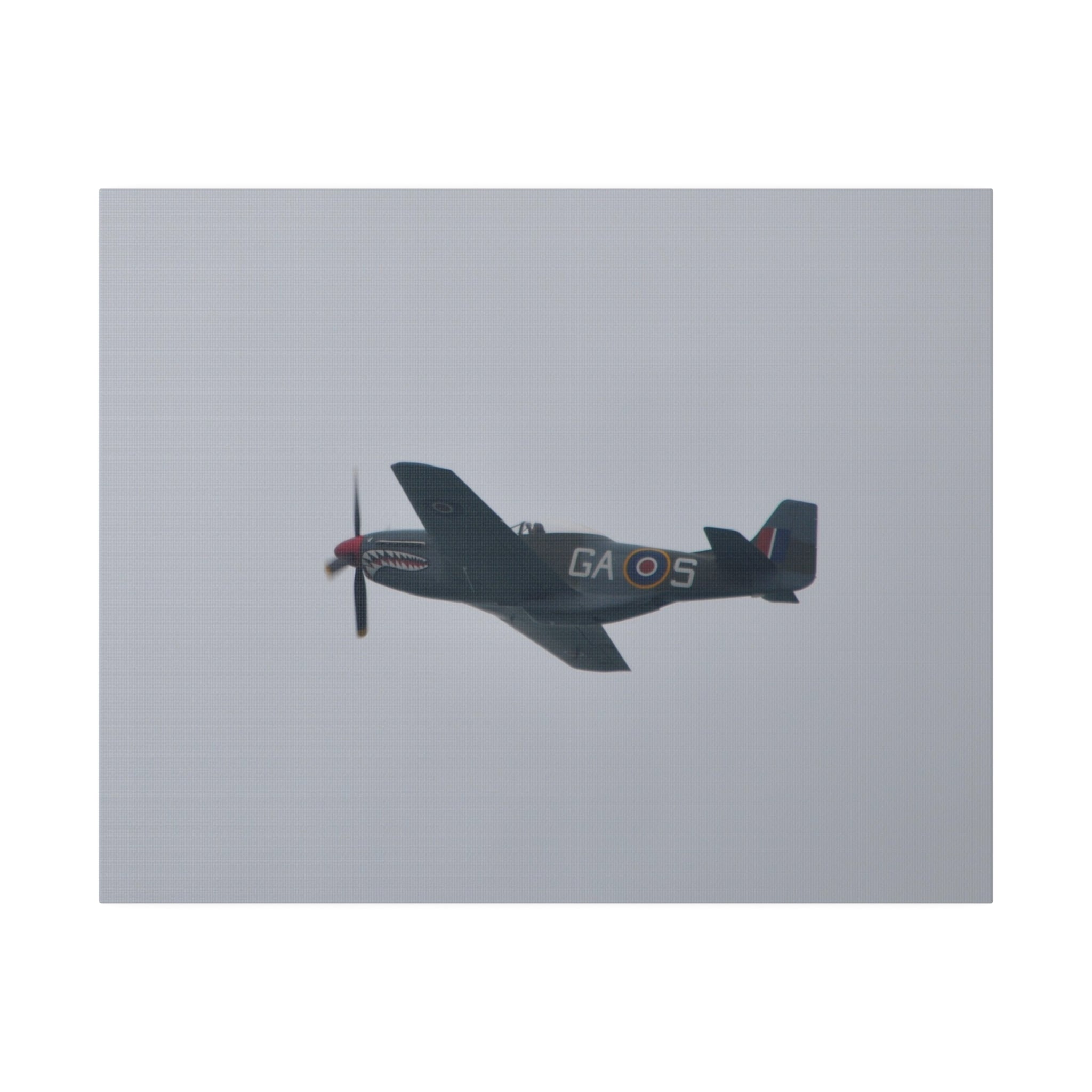 P - 51D Mustang Flying From The Right Side View, Matte Canvas, Stretched, 0.75" - The Trio Synergize Group