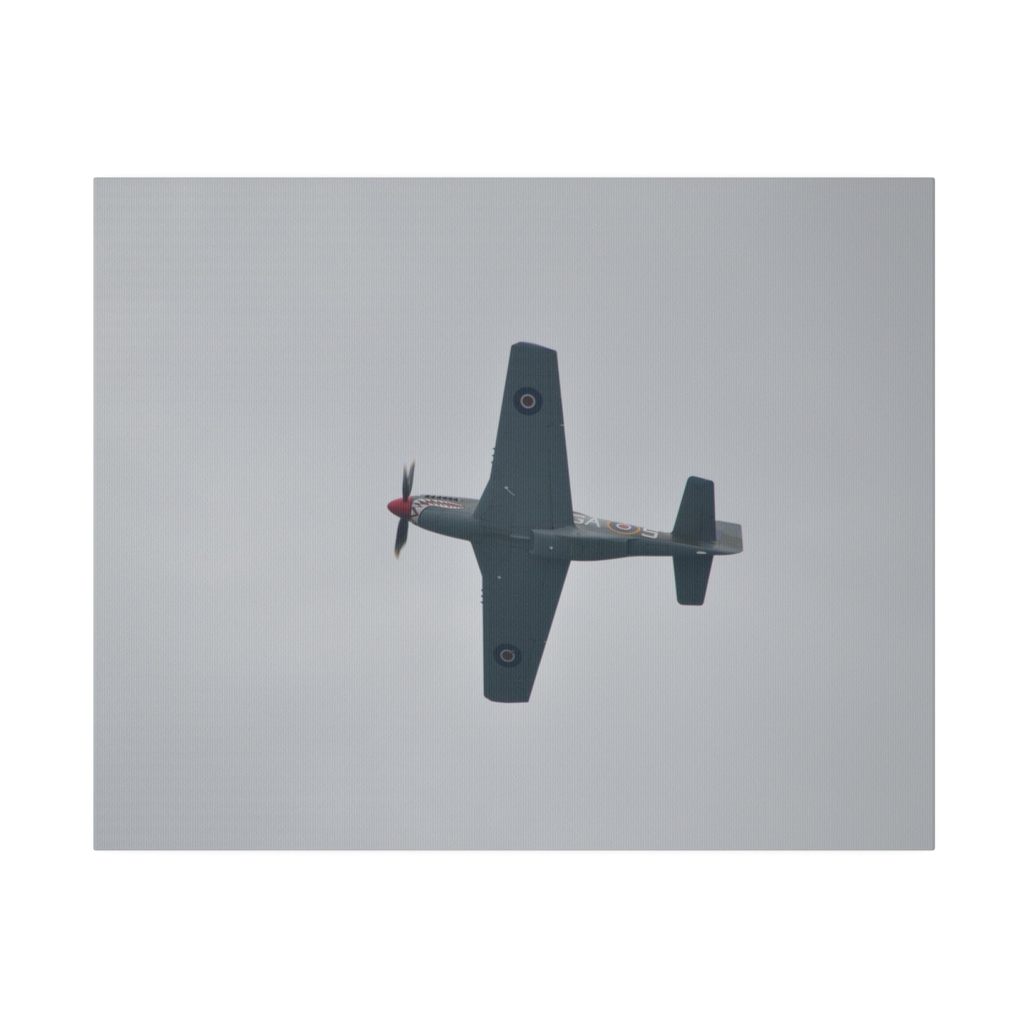 P-51D Mustang With A View Of The Undercarriage Canvas - The Trio Synergize Group