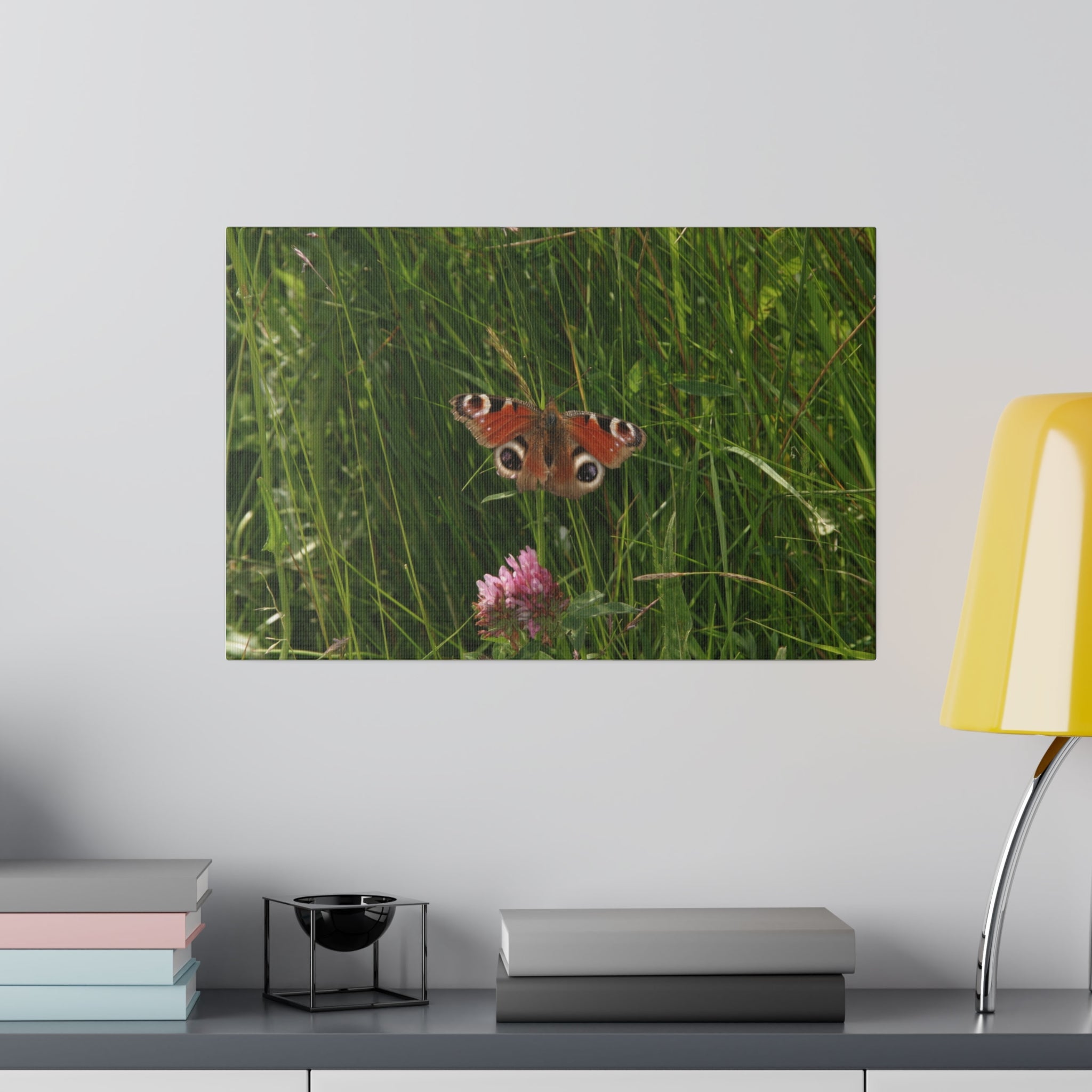 Peacock Butterfly On A Flower Different View Canvas - The Trio Synergize Group