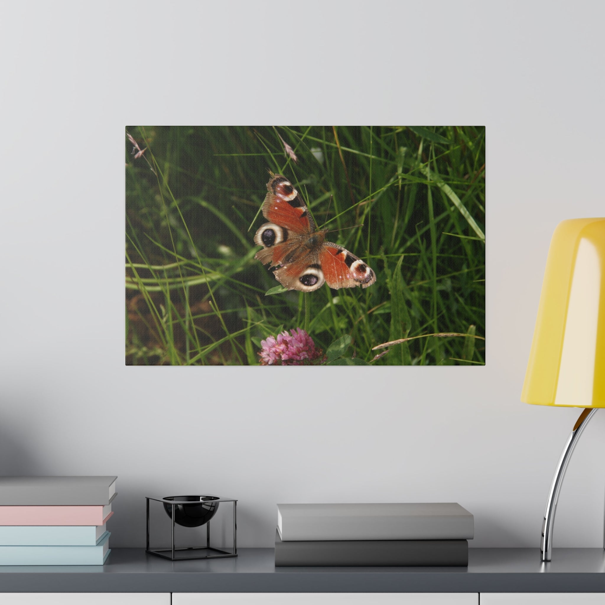 Peacock Butterfly On A Flower Wings Wide Open Canvas - The Trio Synergize Group