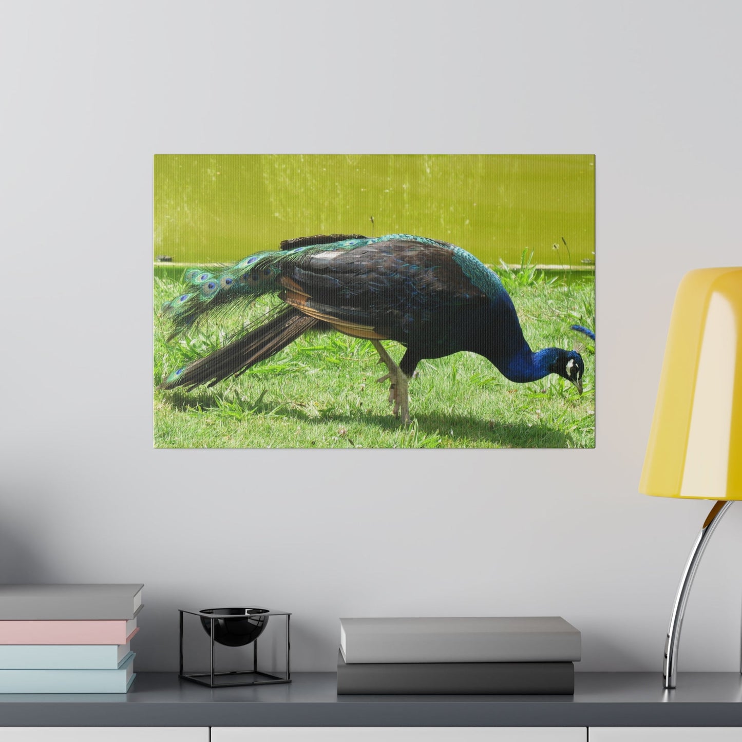 Peacock Close Up With Lush Green Surroundings Canvas - The Trio Synergize Group