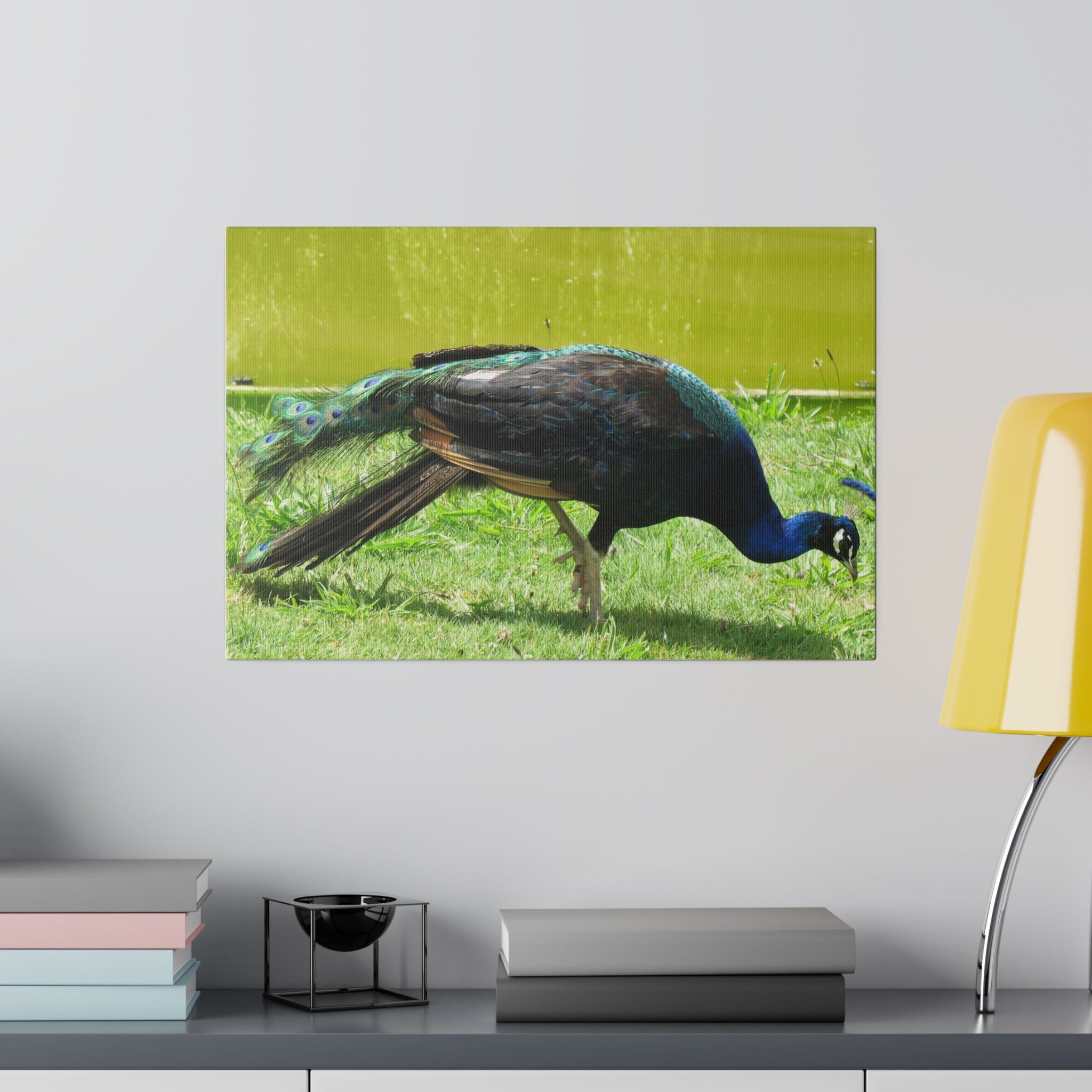 Peacock Close Up With Lush Green Surroundings Canvas - The Trio Synergize Group