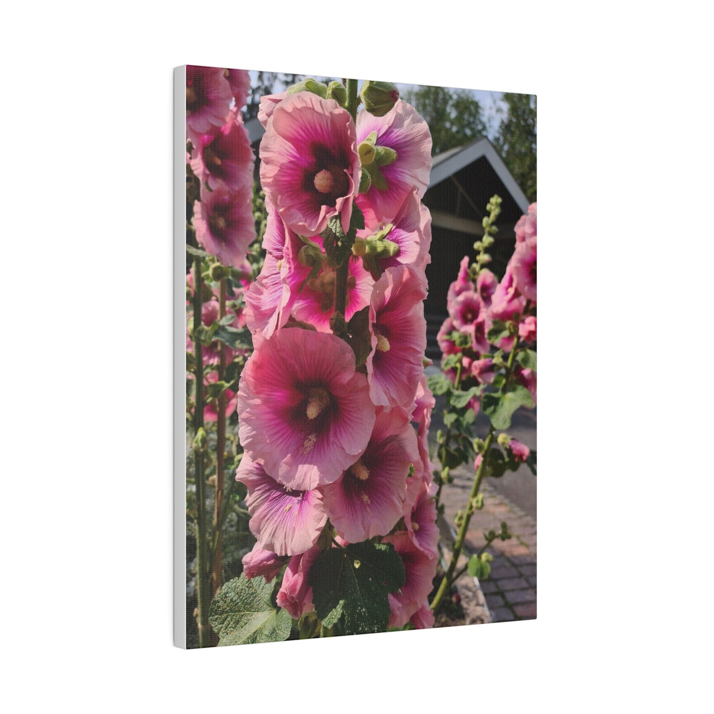 Pink Hollyhock, Matte Canvas, Stretched, 0.75" - The Trio Synergize Group