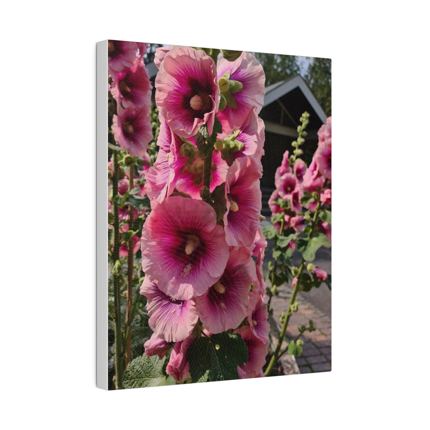 Pink Hollyhock, Matte Canvas, Stretched, 0.75" - The Trio Synergize Group
