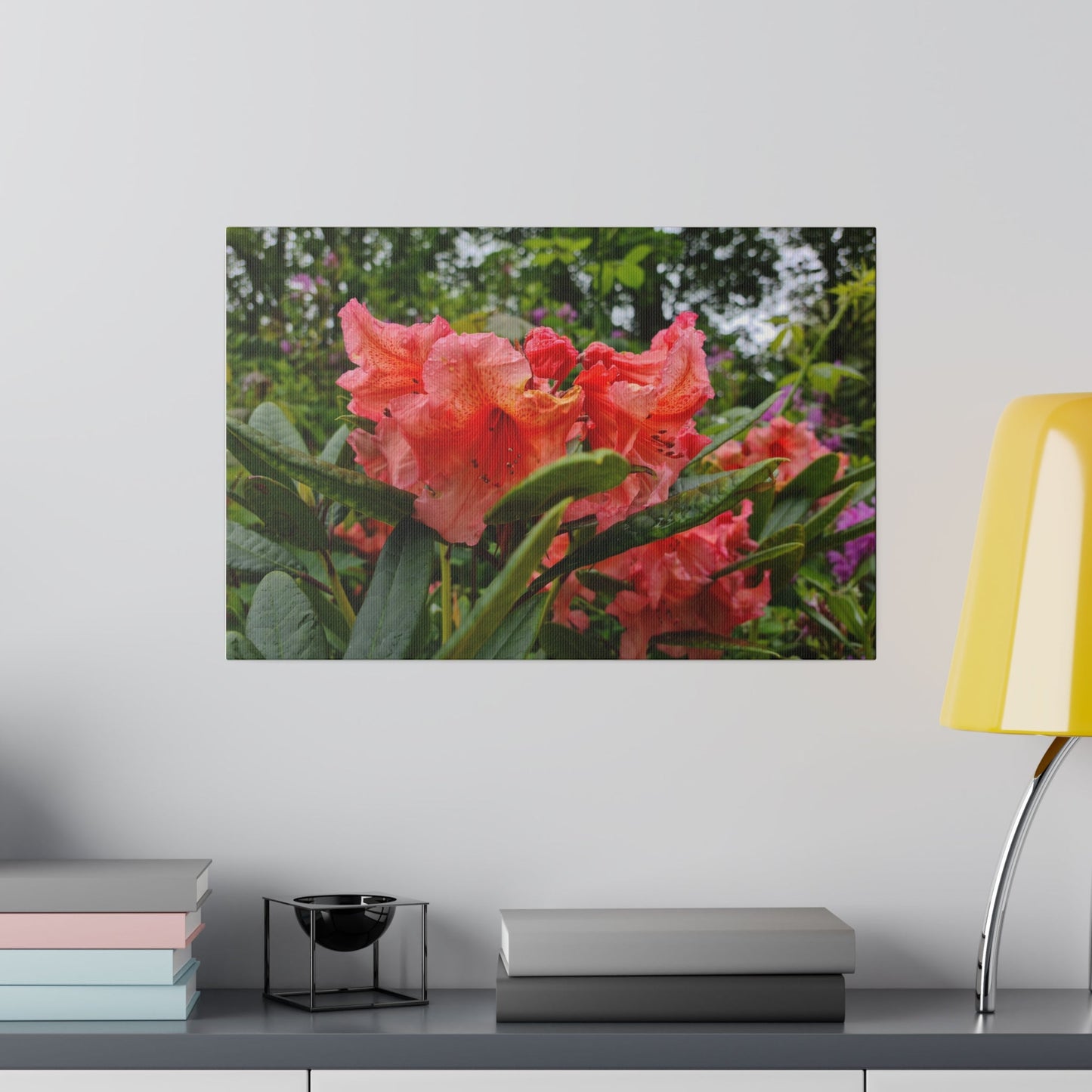Cluster Of Pink Rhododendron With Blurred Background Canvas - The Trio Synergize Group