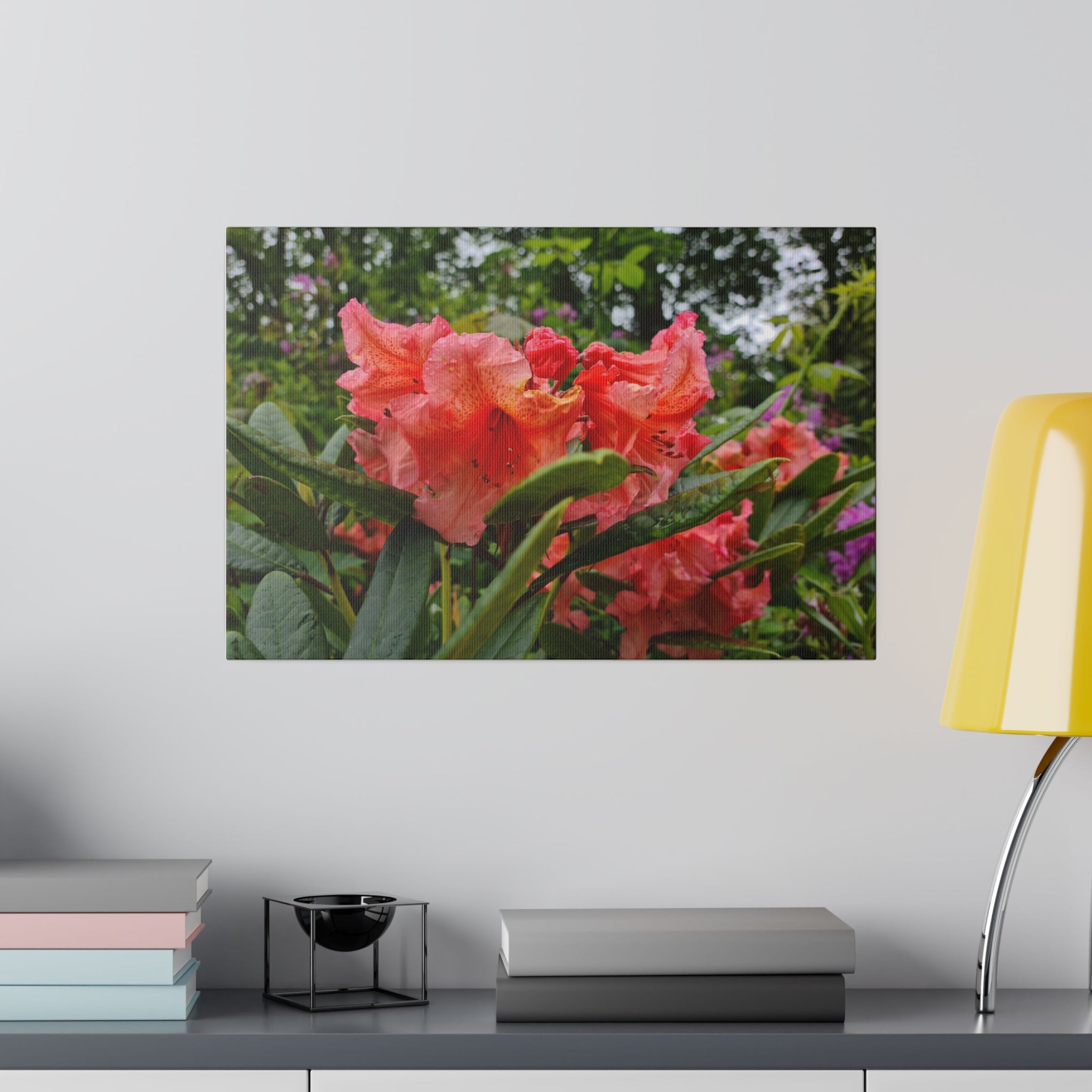 Cluster Of Pink Rhododendron With Blurred Background Canvas - The Trio Synergize Group