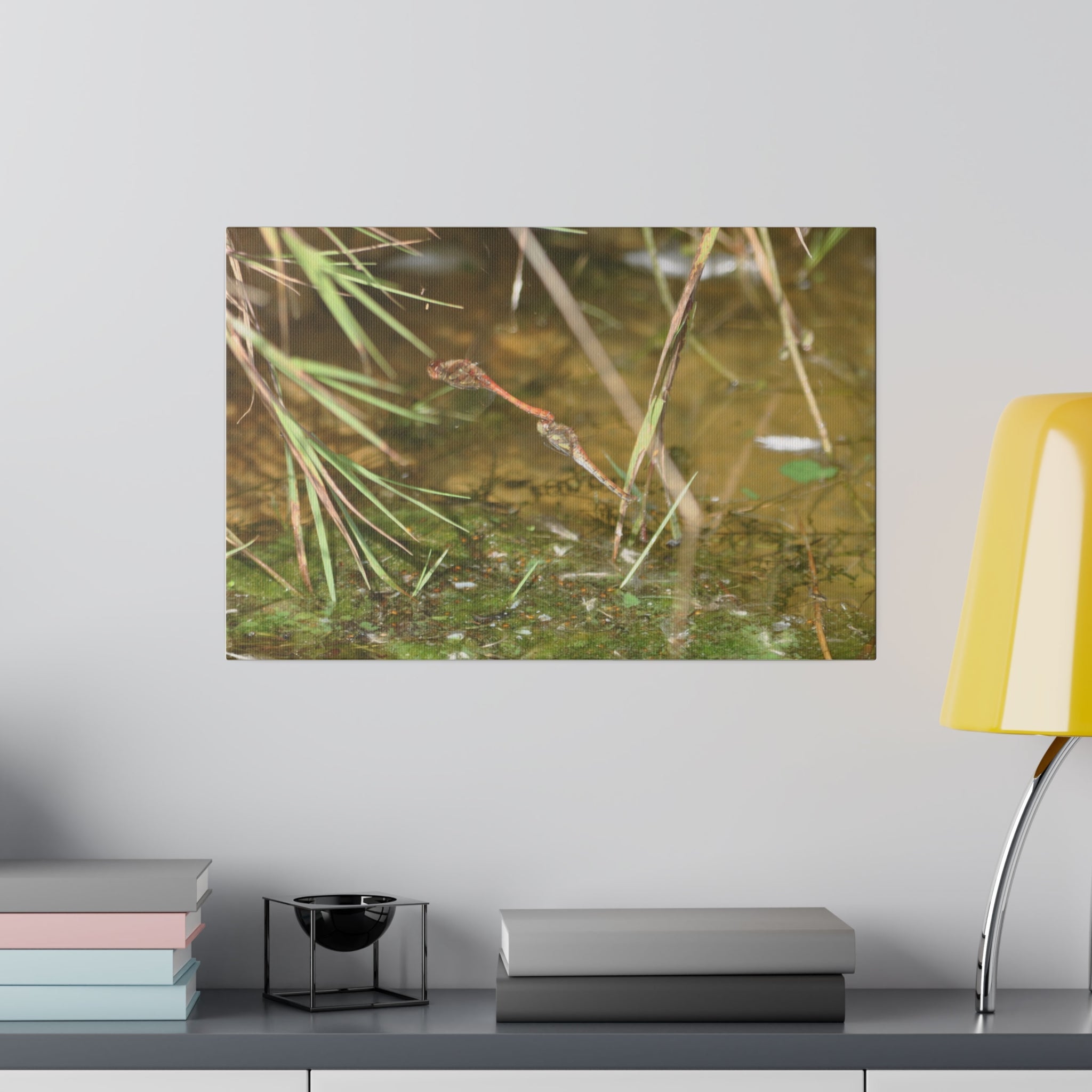Red Dragonflies Mating Above Water Canvas - The Trio Synergize Group