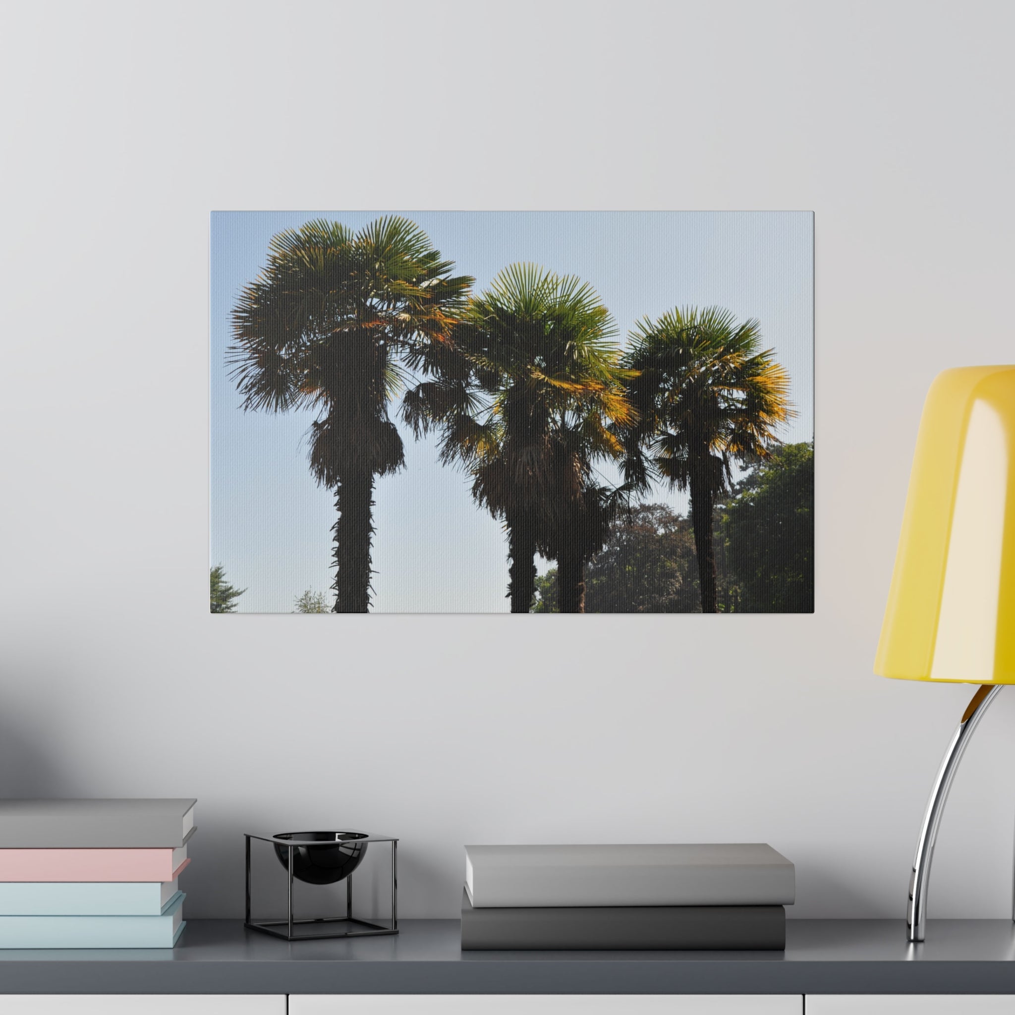 Sabal Palmetto Trees Canvas Print - The Trio Synergize Group