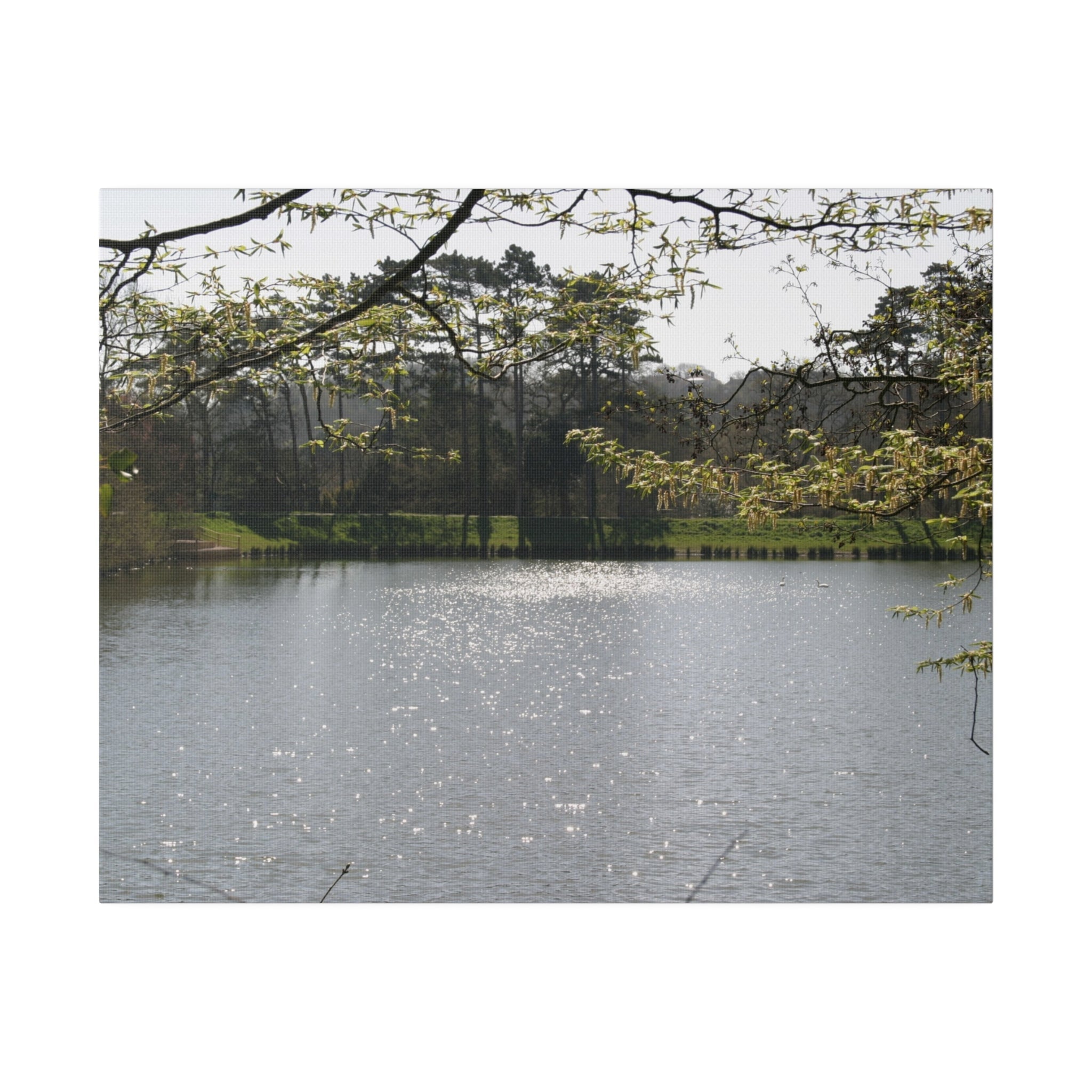 Scenic Shot Of A Lake And Trees Canvas - The Trio Synergize Group