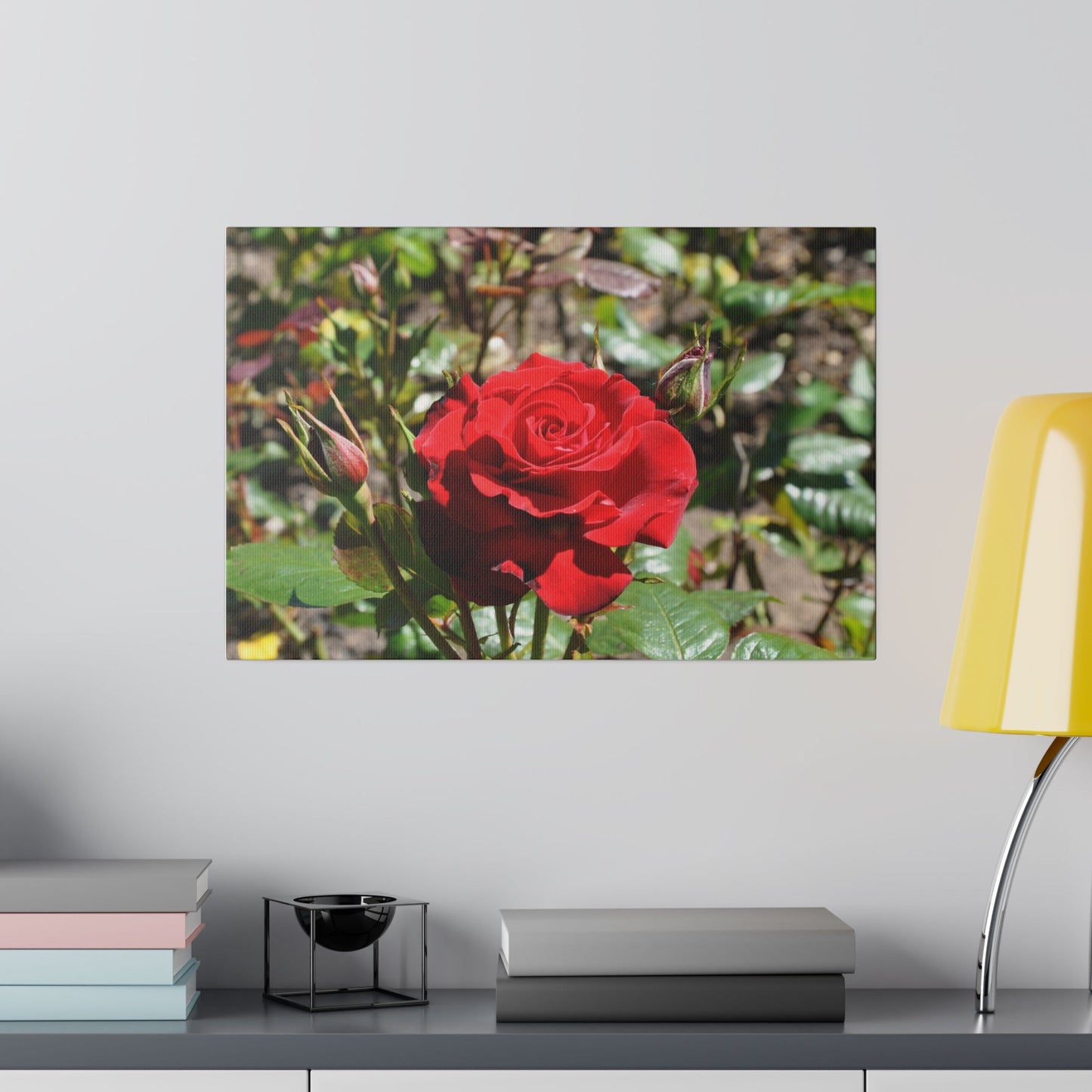 Single Blooming Red Rose With Buds - The Trio Synergize Group