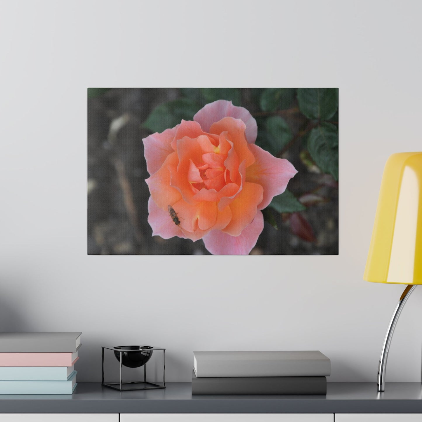 Single Peach Rose Canvas Print - The Trio Synergize Group