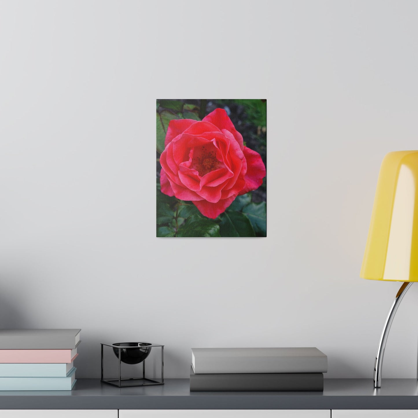 Single Red Rose Opening Canvas - The Trio Synergize Group