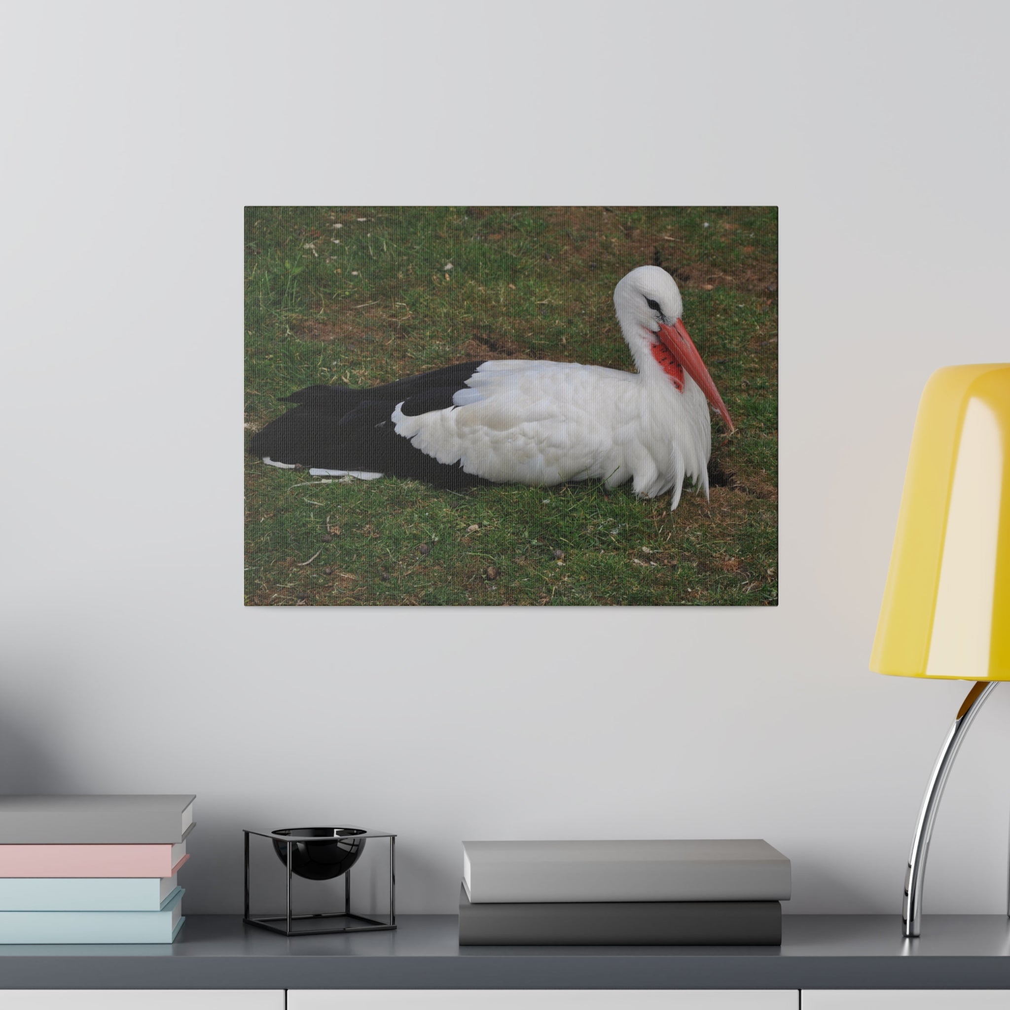 White Stork Laying Down Up Close Canvas - The Trio Synergize Group