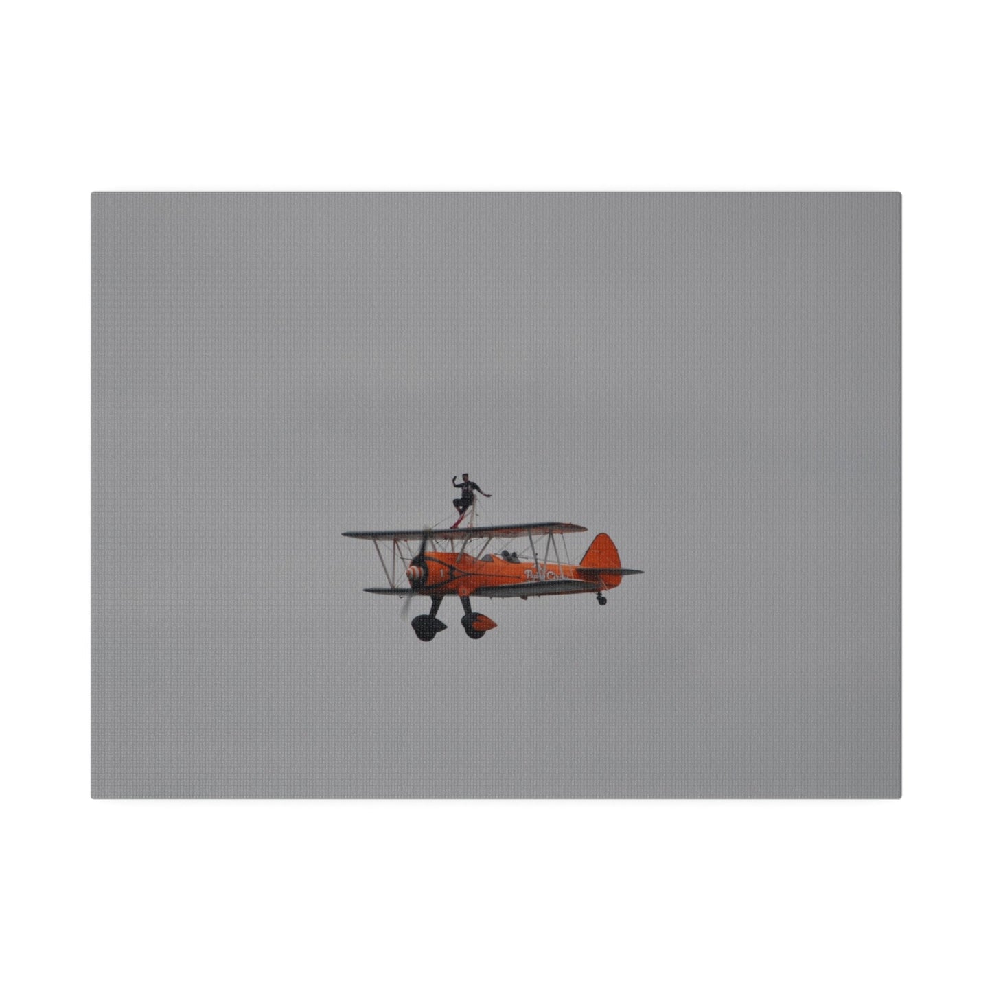 Single Wing Walker Flying From The Right With Front And Side View Close Up, Matte Canvas, Stretched, 0.75" - The Trio Synergize Group