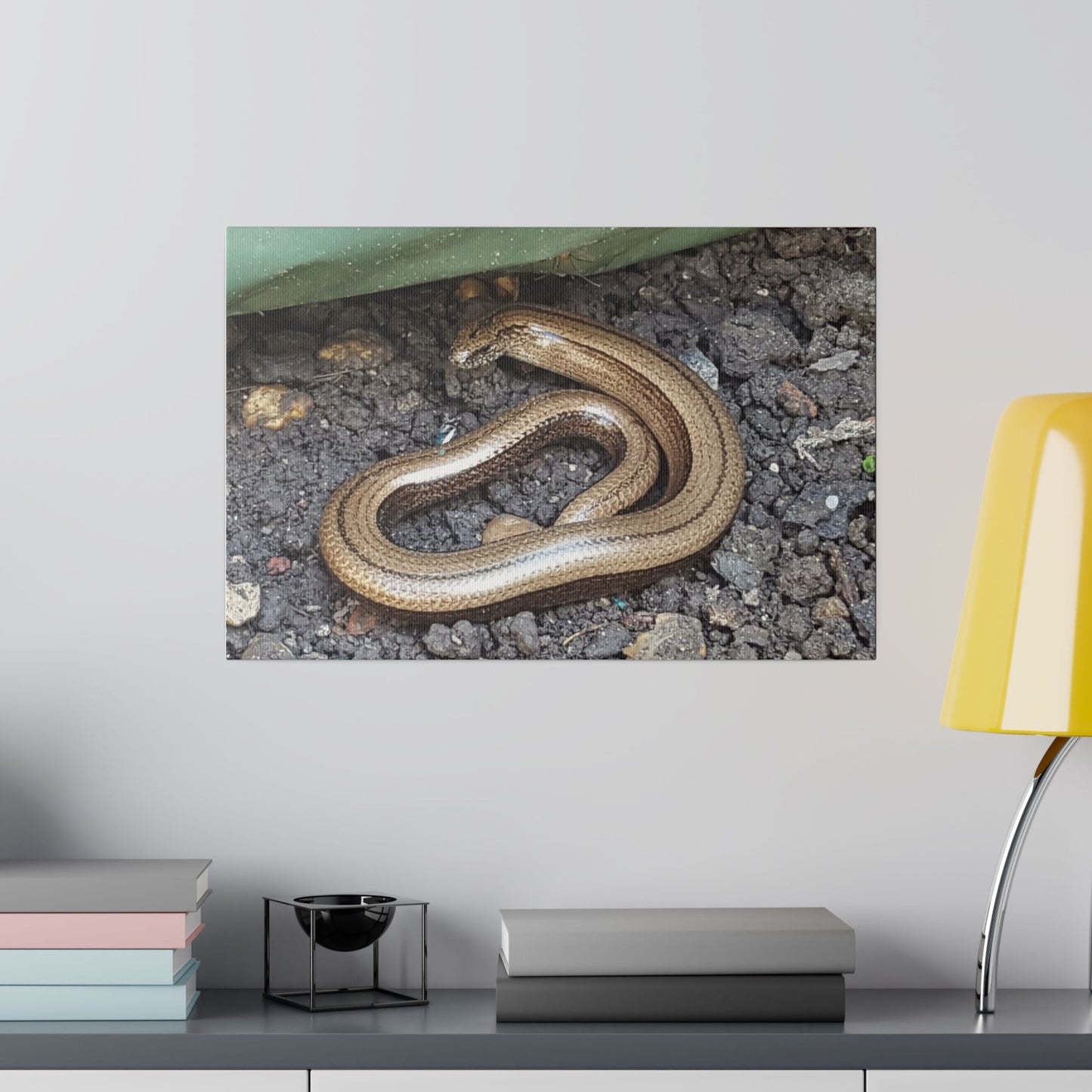 Slow-Worm In The Open Canvas Print - The Trio Synergize Group