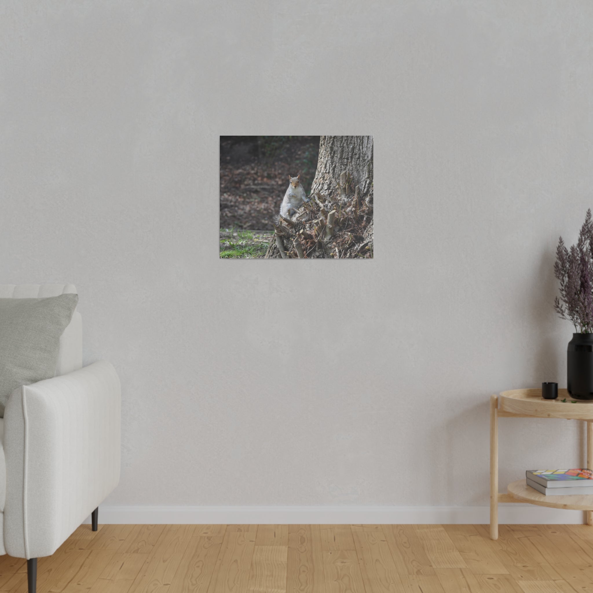 Squirrel Sitting On Tree Stump Canvas - The Trio Synergize Group