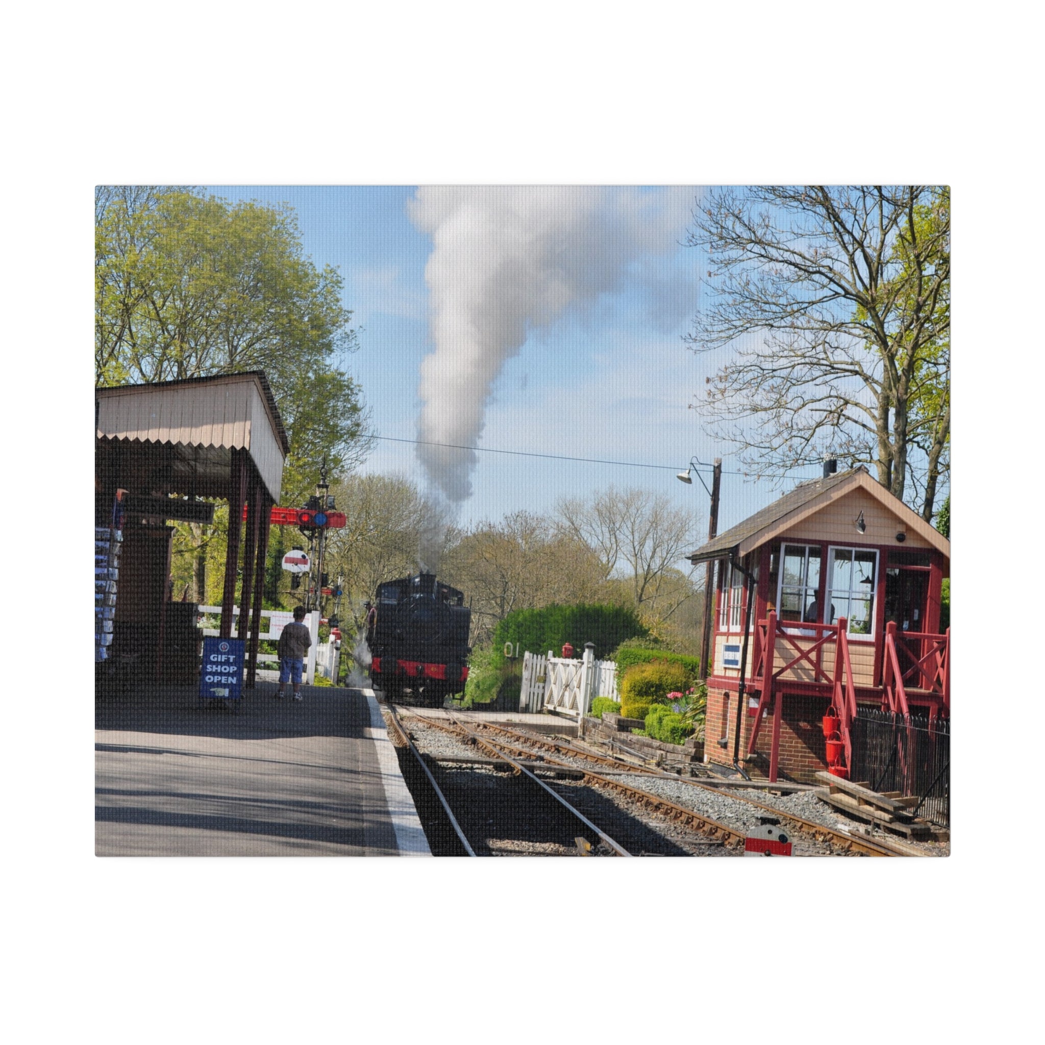 Steam Train Arriving at Bodiam Station, Colour Canvas - The Trio Synergize Group