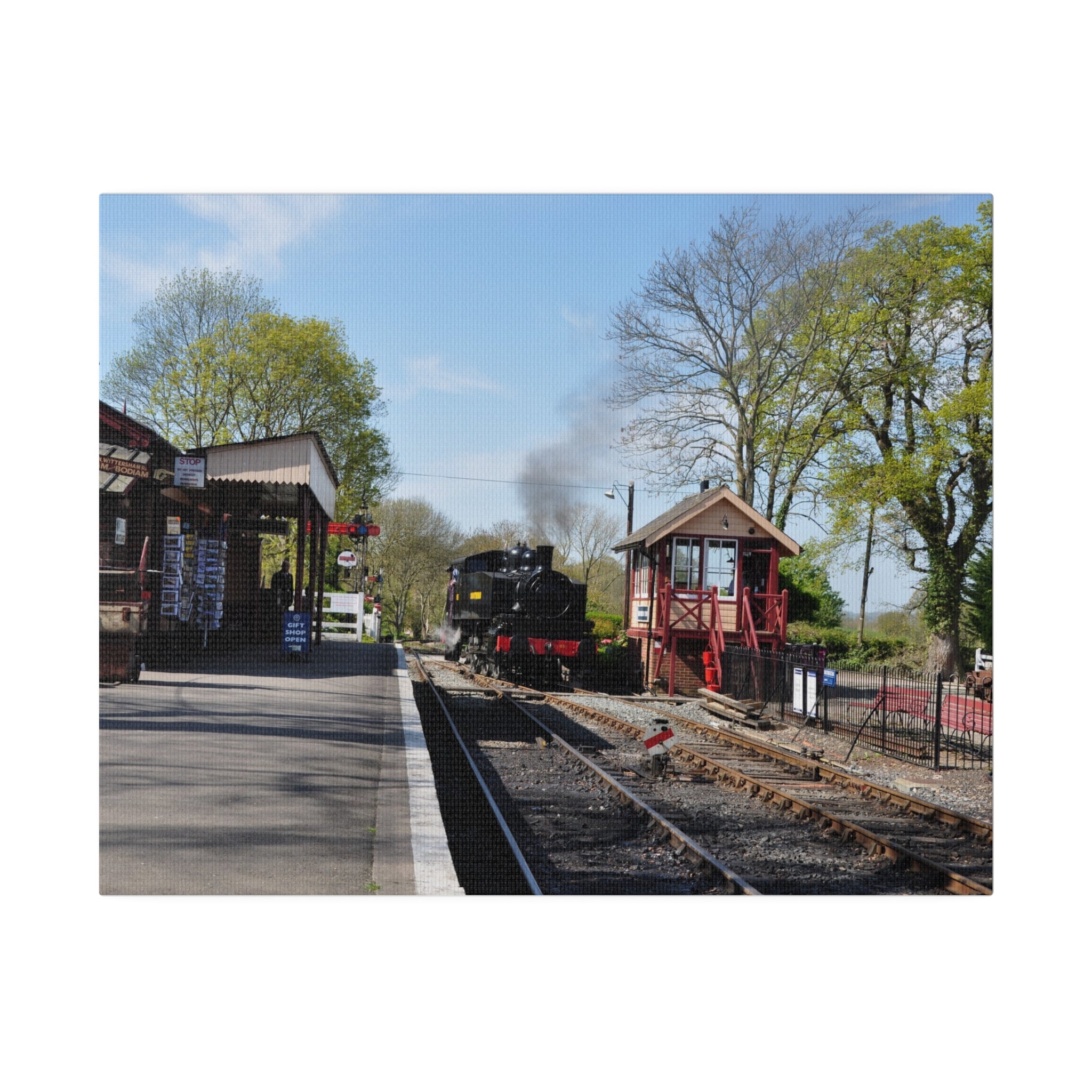 Steam Train Arriving at Bodiam Station, Colour, Matte Canvas - The Trio Synergize Group