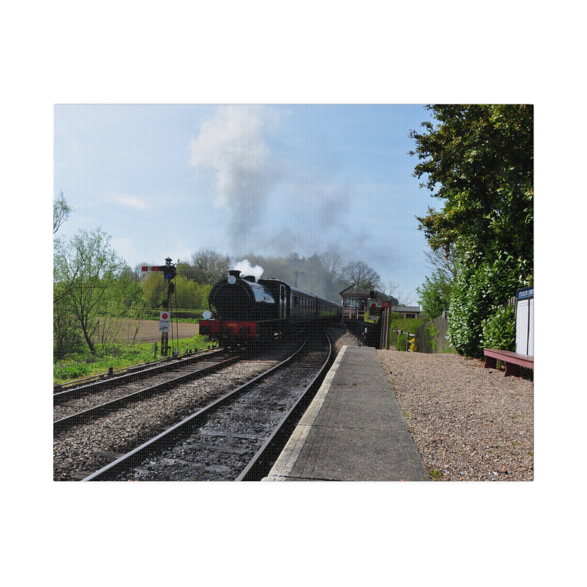 Steam Train Arriving, Colour Canvas - The Trio Synergize Group