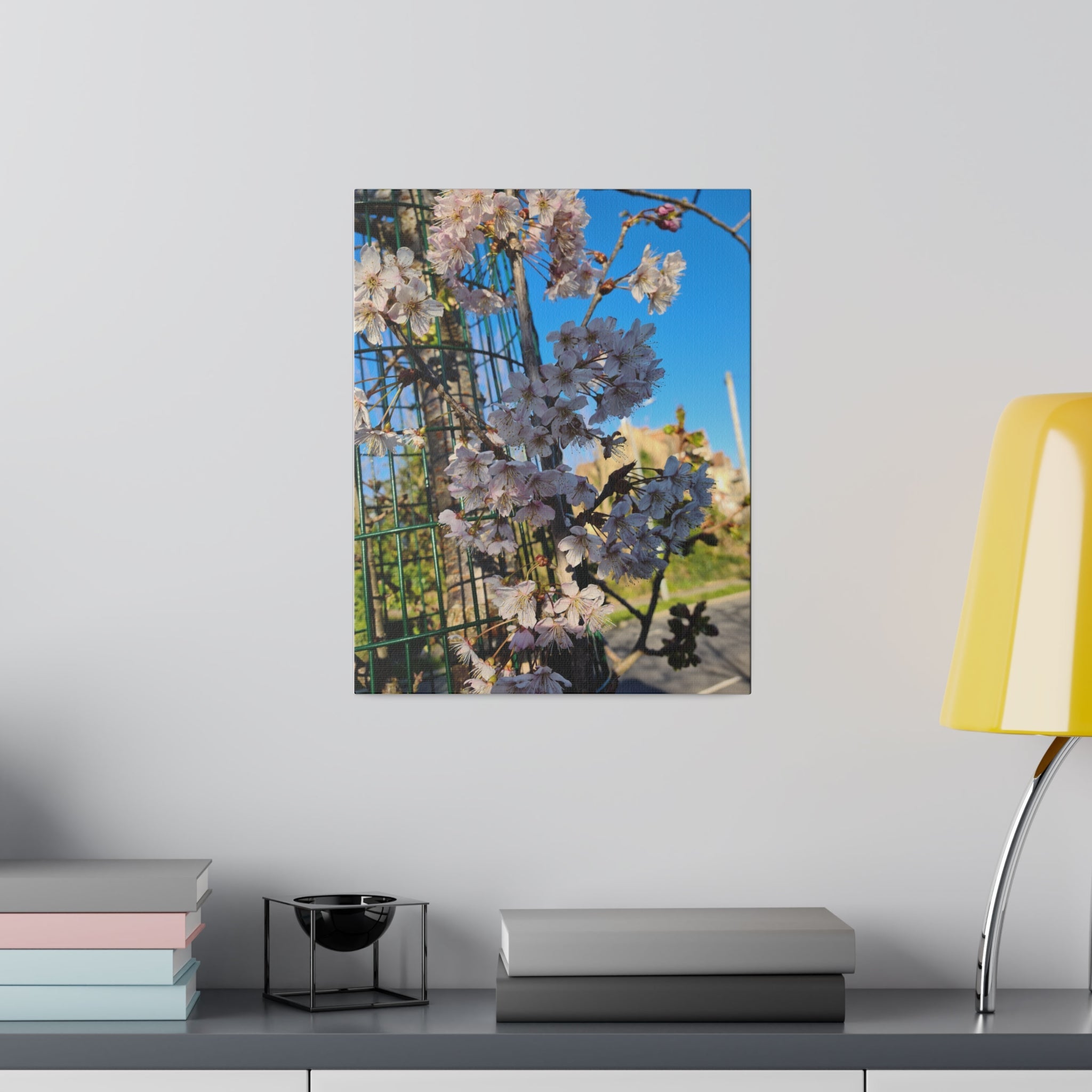 White Tree Blossom With A Blurred Background Canvas - The Trio Synergize Group