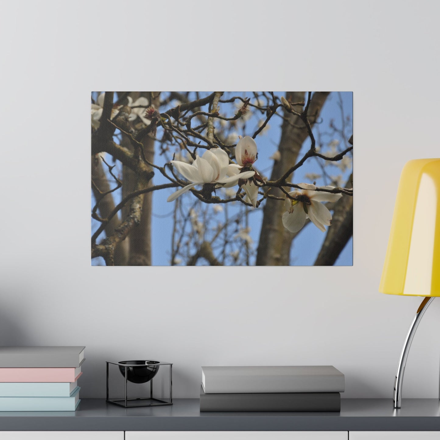 White Tree Blossom Sky Through Branches Canvas - The Trio Synergize Group