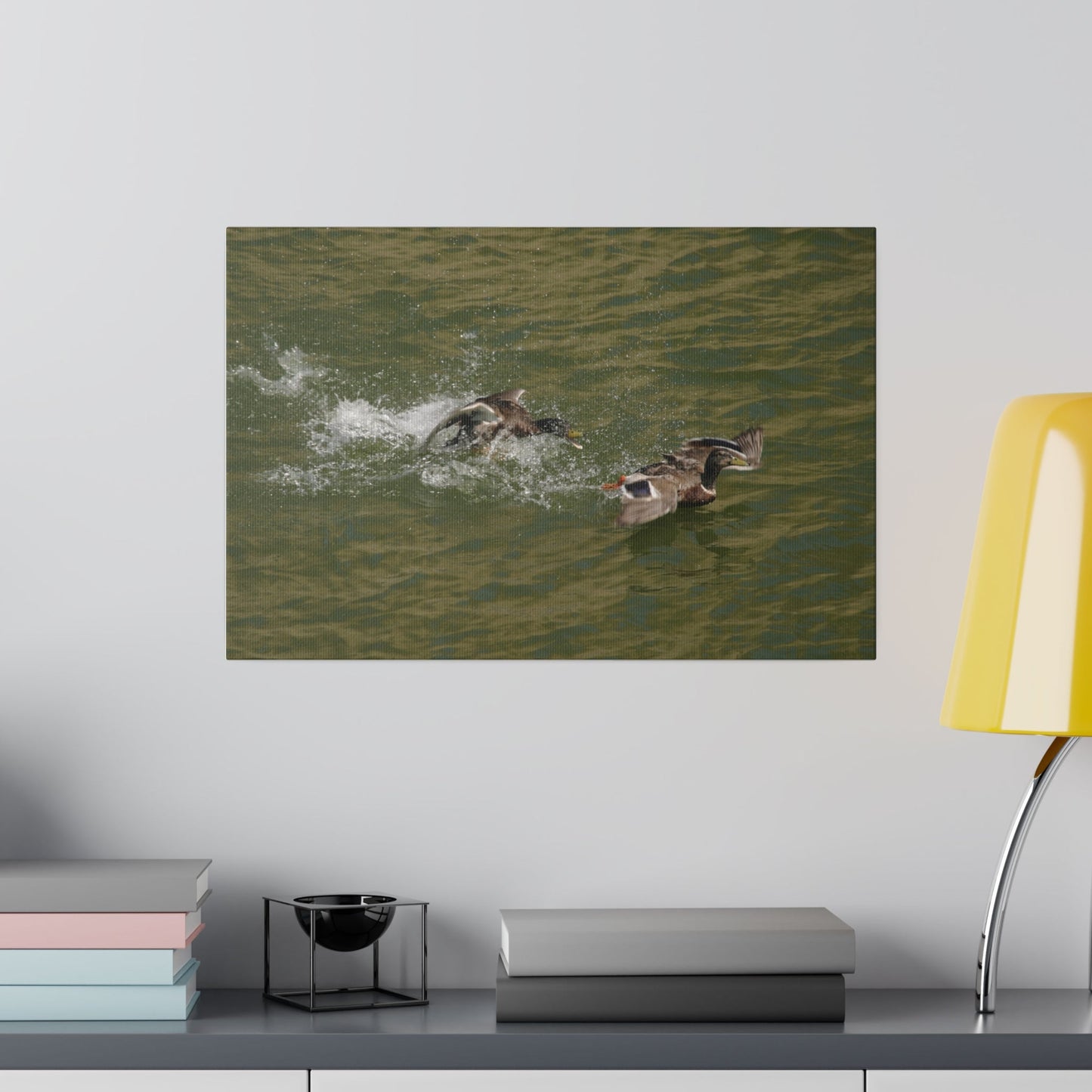 Two Male Ducks Fighting With One Swimming Away Canvas - The Trio Synergize Group