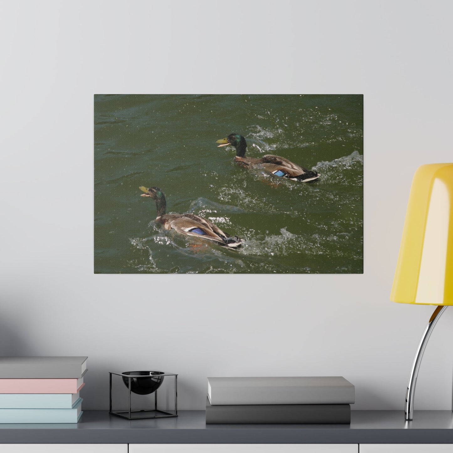 Two Male Ducks On Water Swimming Canvas - The Trio Synergize Group