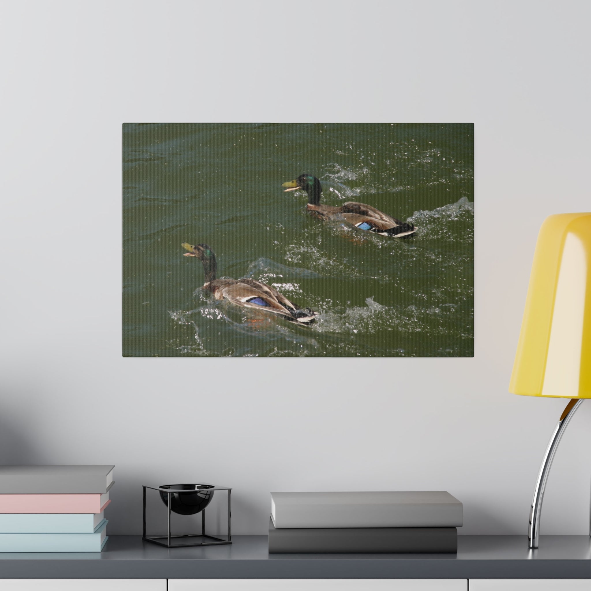 Two Male Ducks On Water Swimming Canvas - The Trio Synergize Group