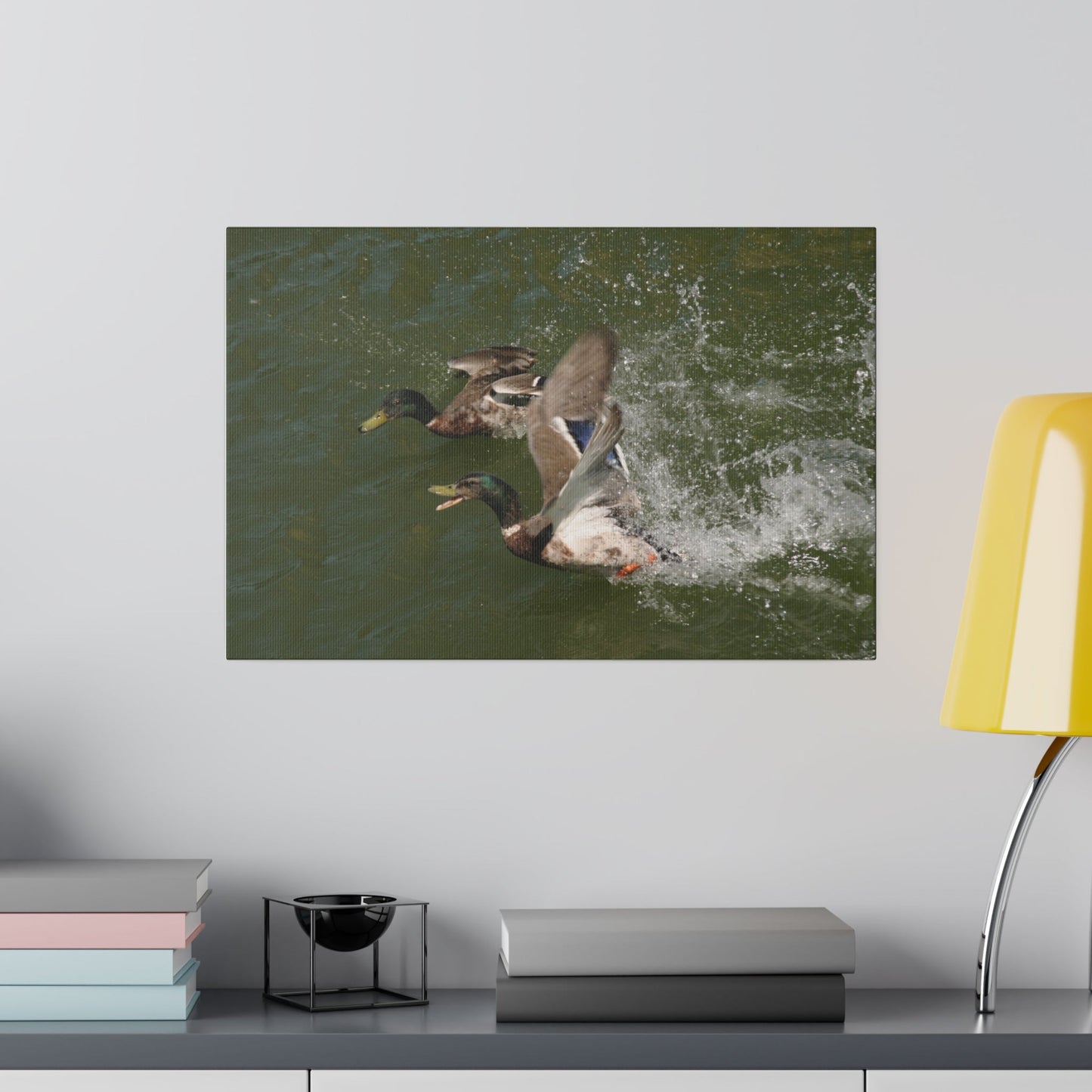 Two Male Ducks On Water Taking Off Canvas - The Trio Synergize Group