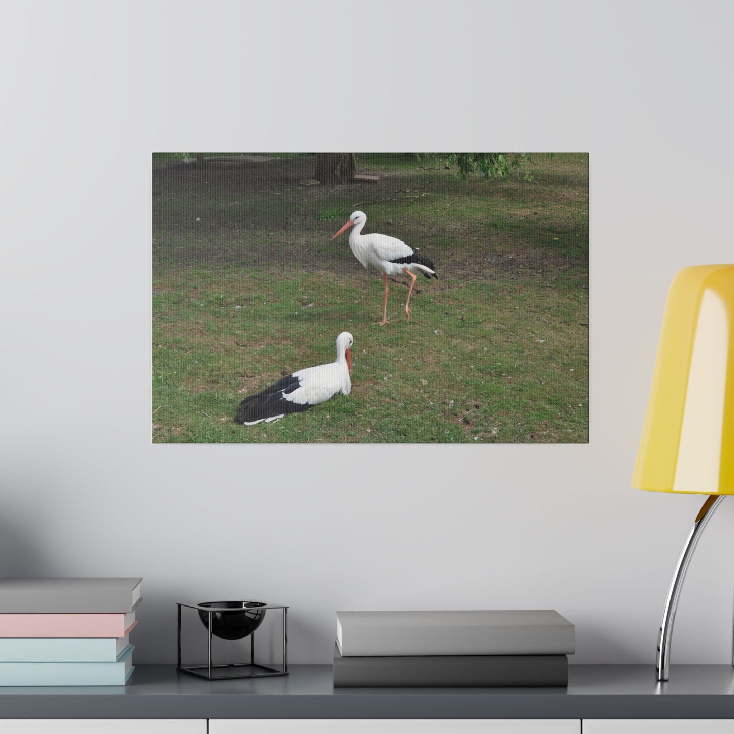 Two White Storks With One Sitting Canvas - The Trio Synergize Group