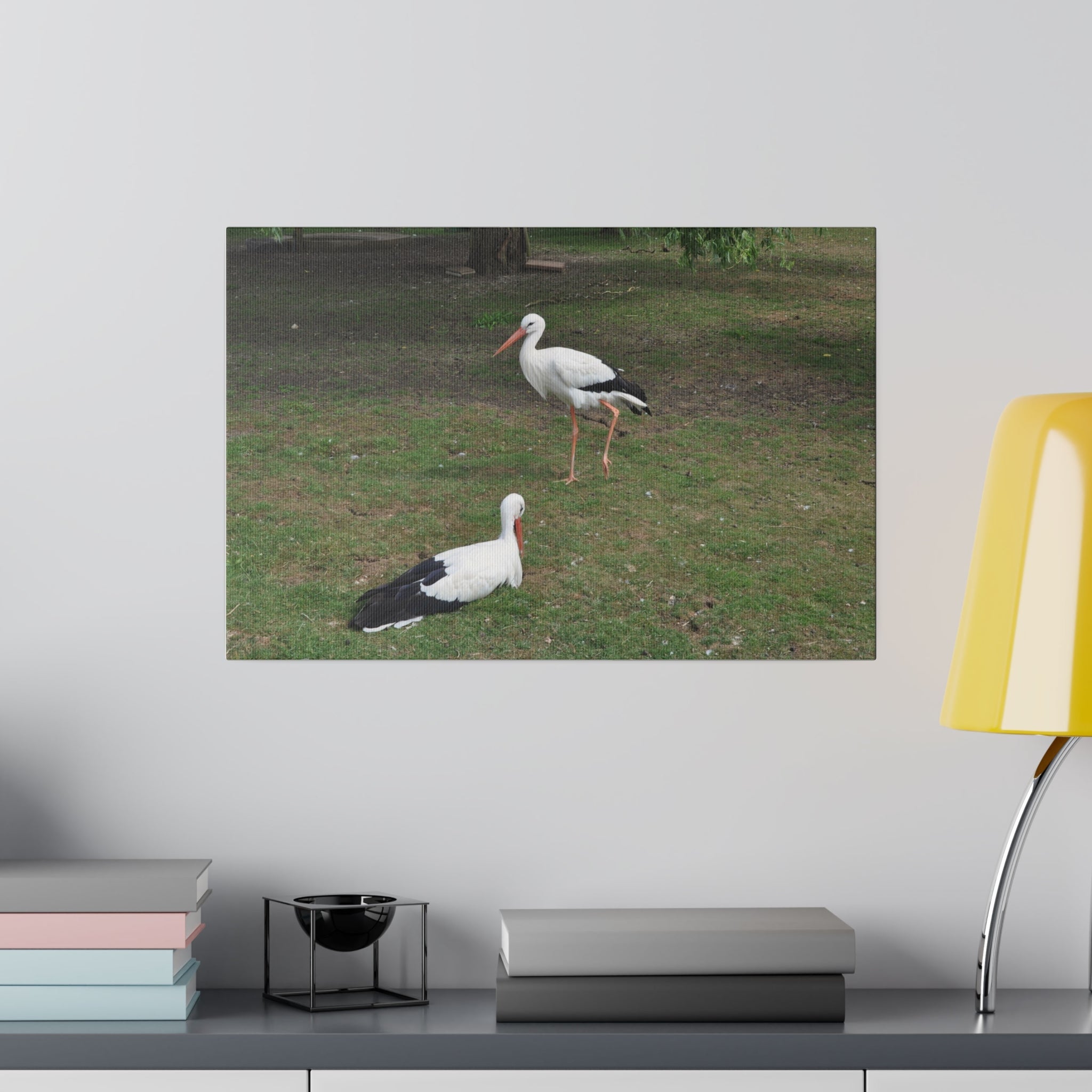Two White Storks With One Sitting Canvas - The Trio Synergize Group