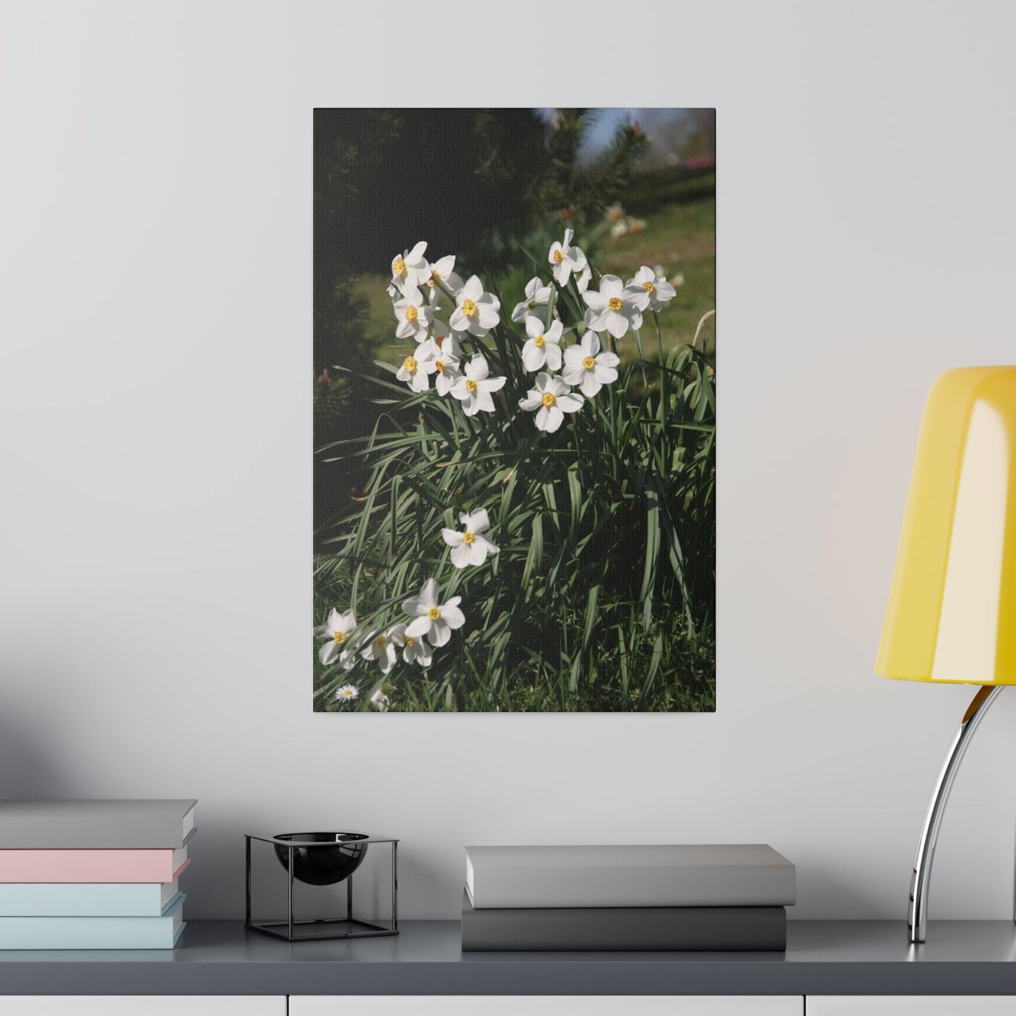 Cluster of White Daffodils With Blurred Background Canvas - The Trio Synergize Group