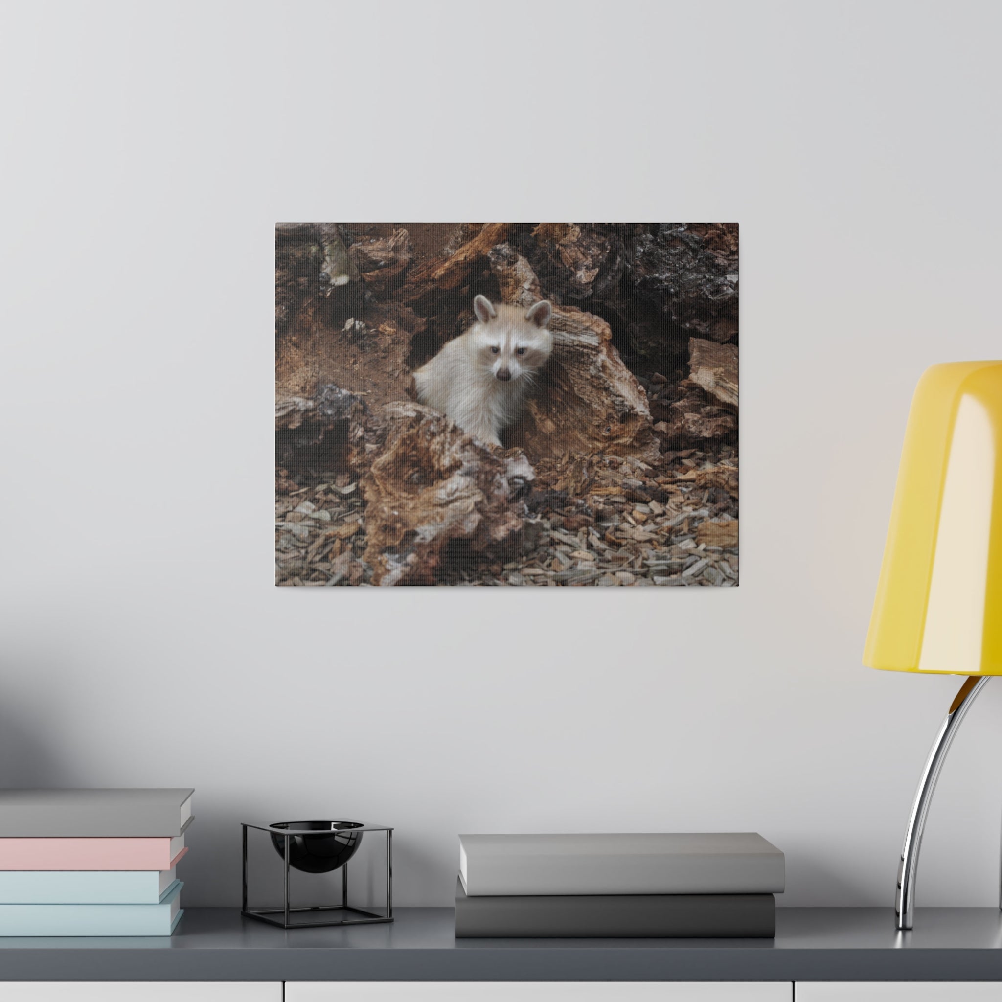 White/Brown Raccoon Sitting Canvas - The Trio Synergize Group