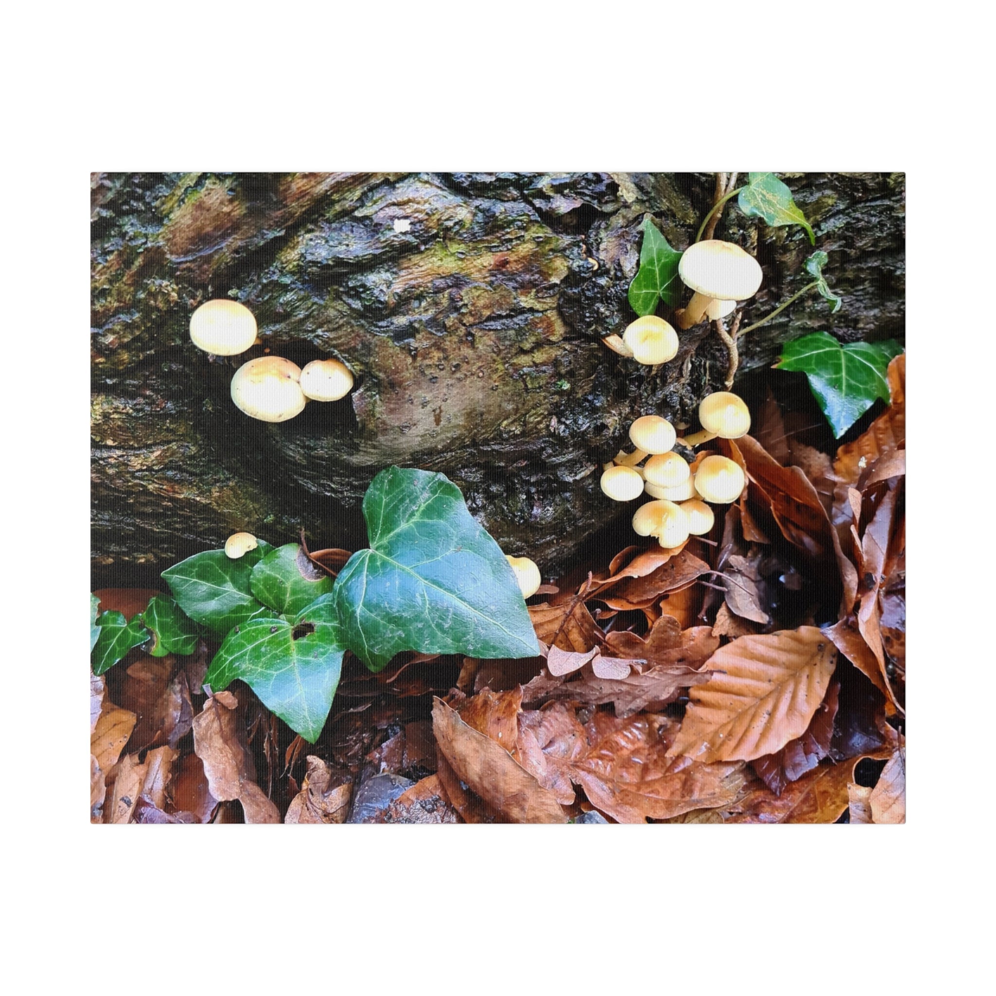 Woodland Mushrooms On A Log Canvas - The Trio Synergize Group