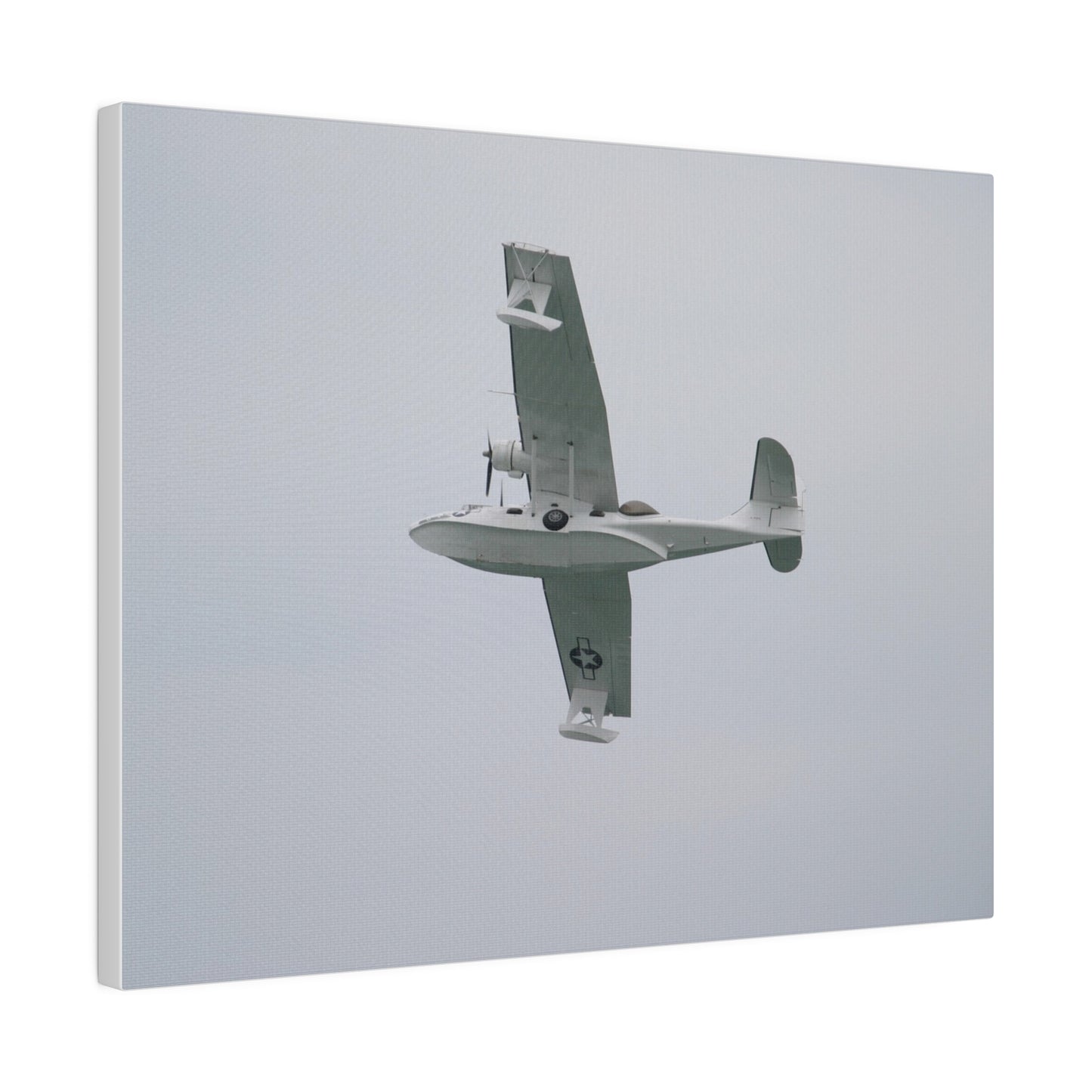 Catalina Flying From The Right, Banking Right Canvas