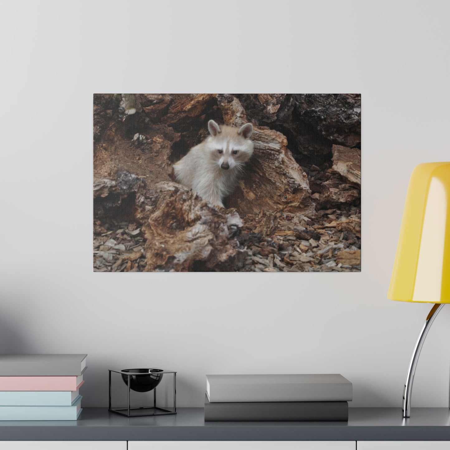 White/Brown Raccoon Sitting Canvas