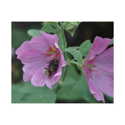 Bumblebee Inside A Purple Flower Canvas