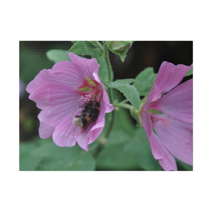 Bumblebee Inside A Purple Flower Canvas