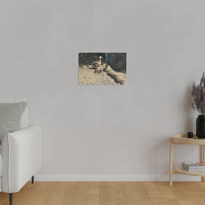 Mother With Four Baby Ducklings Resting Canvas
